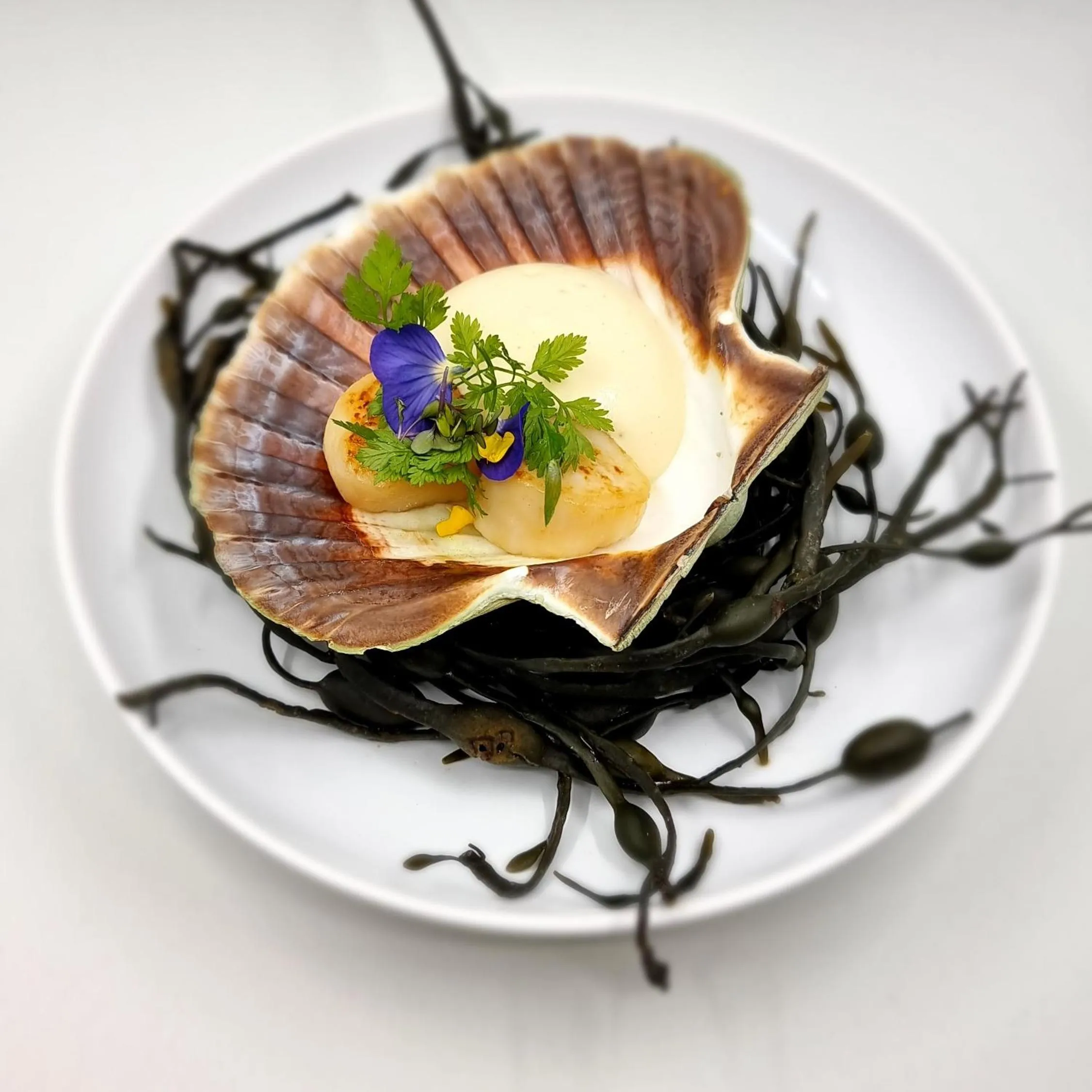 Restaurant/places to eat in Blåtind Boutique Hotel