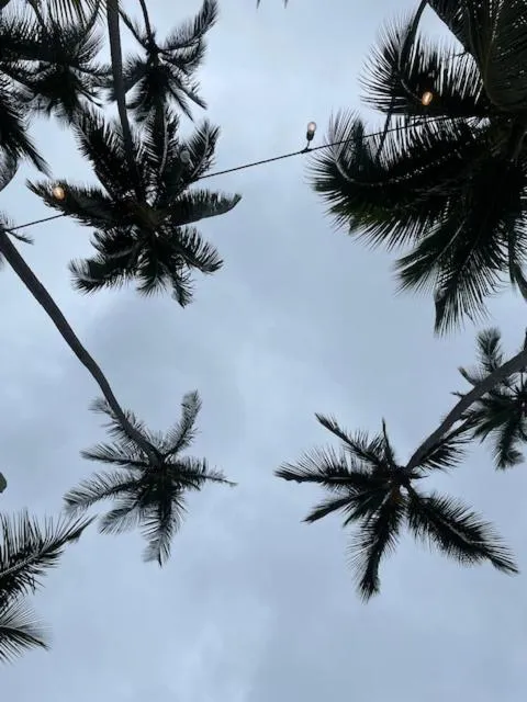 Other in Hotel Costa Linda Beach Boca Chica