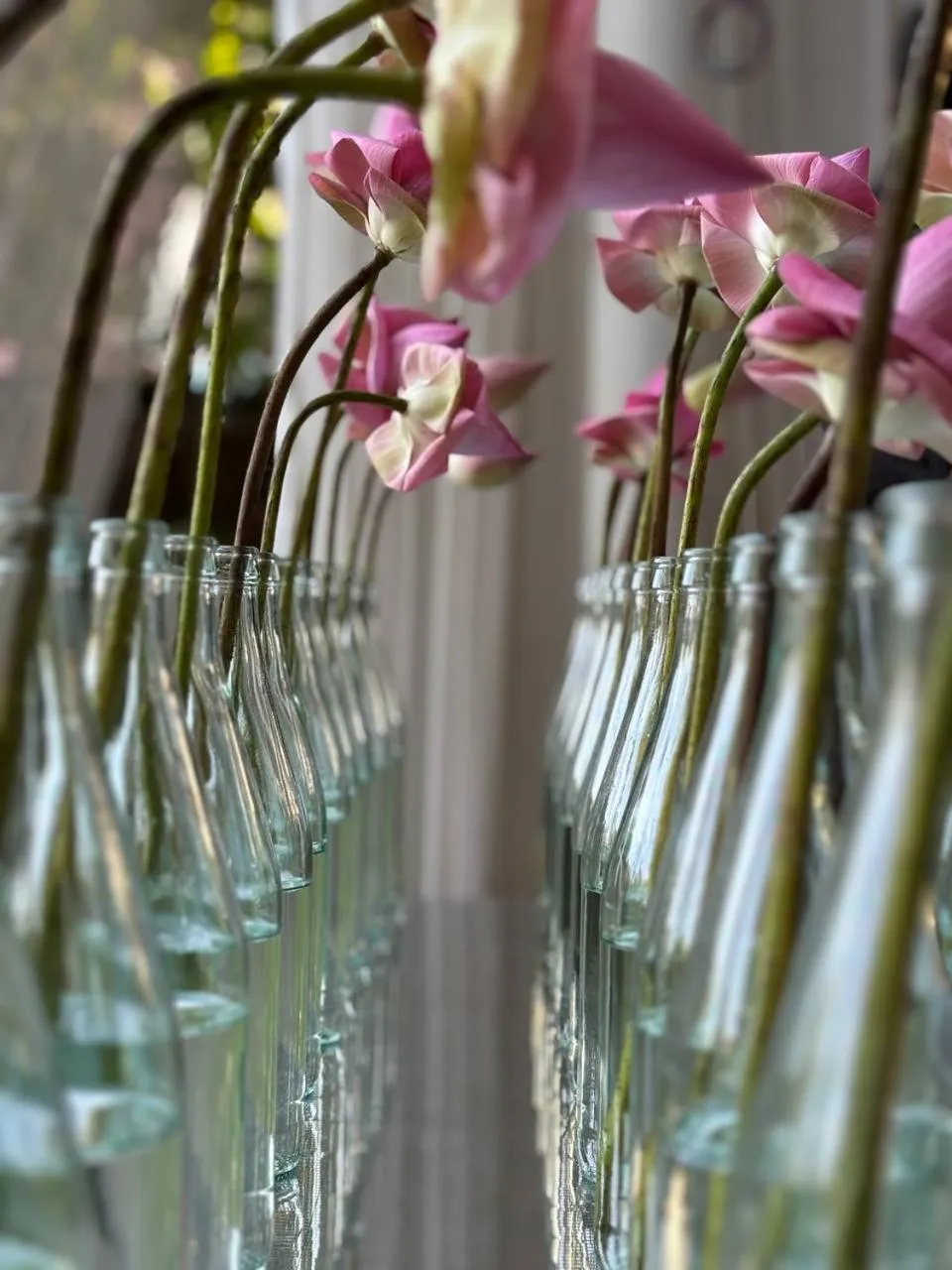 Lobby or reception in Jaya House River Park Hotel