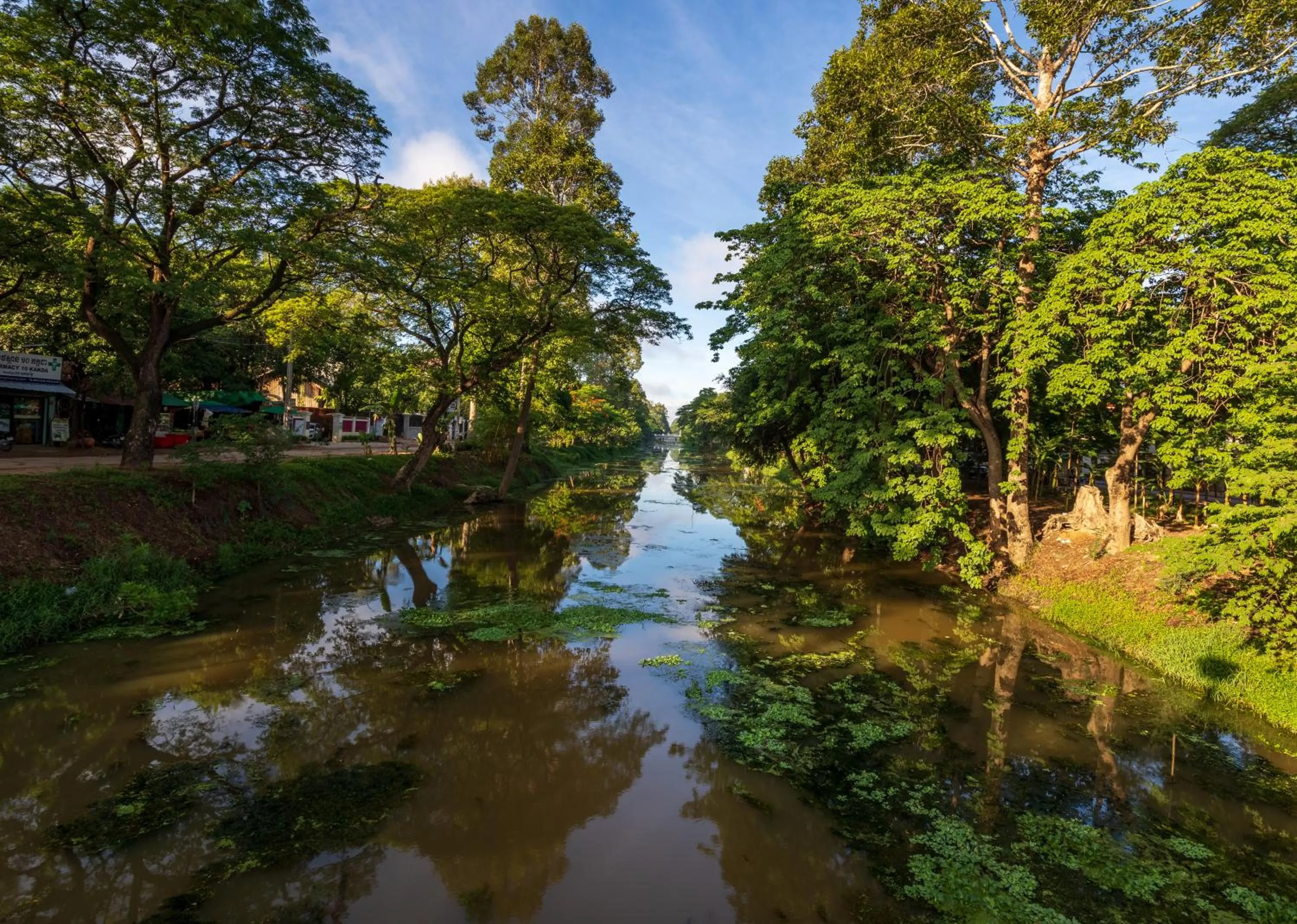 Natural landscape in Jaya House River Park Hotel