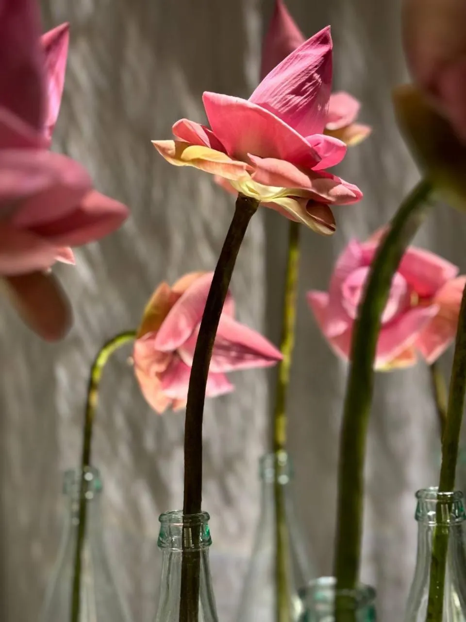 Lobby or reception in Jaya House River Park Hotel