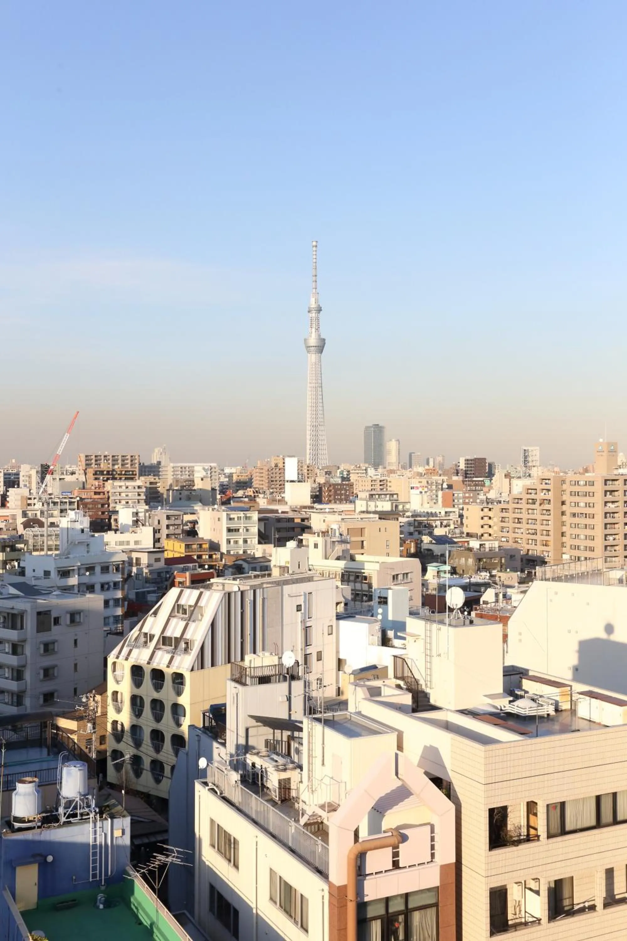 City view in Oak Hotel Edo