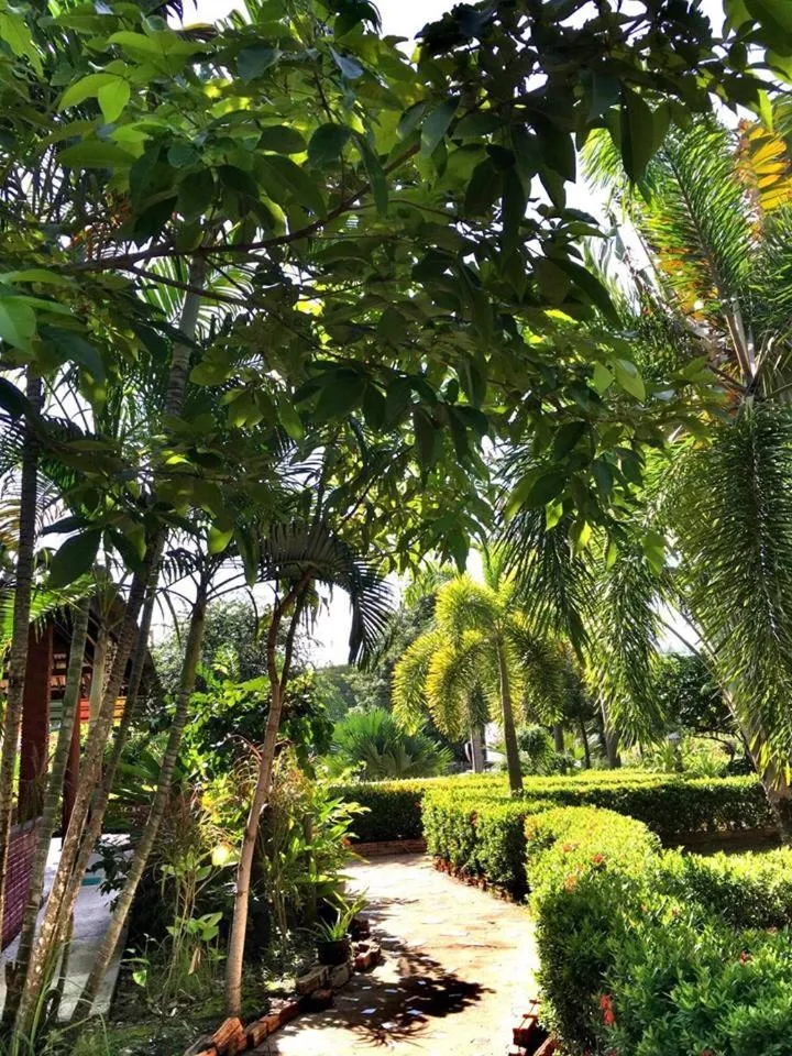 Area and facilities in Lanta Queen Resort