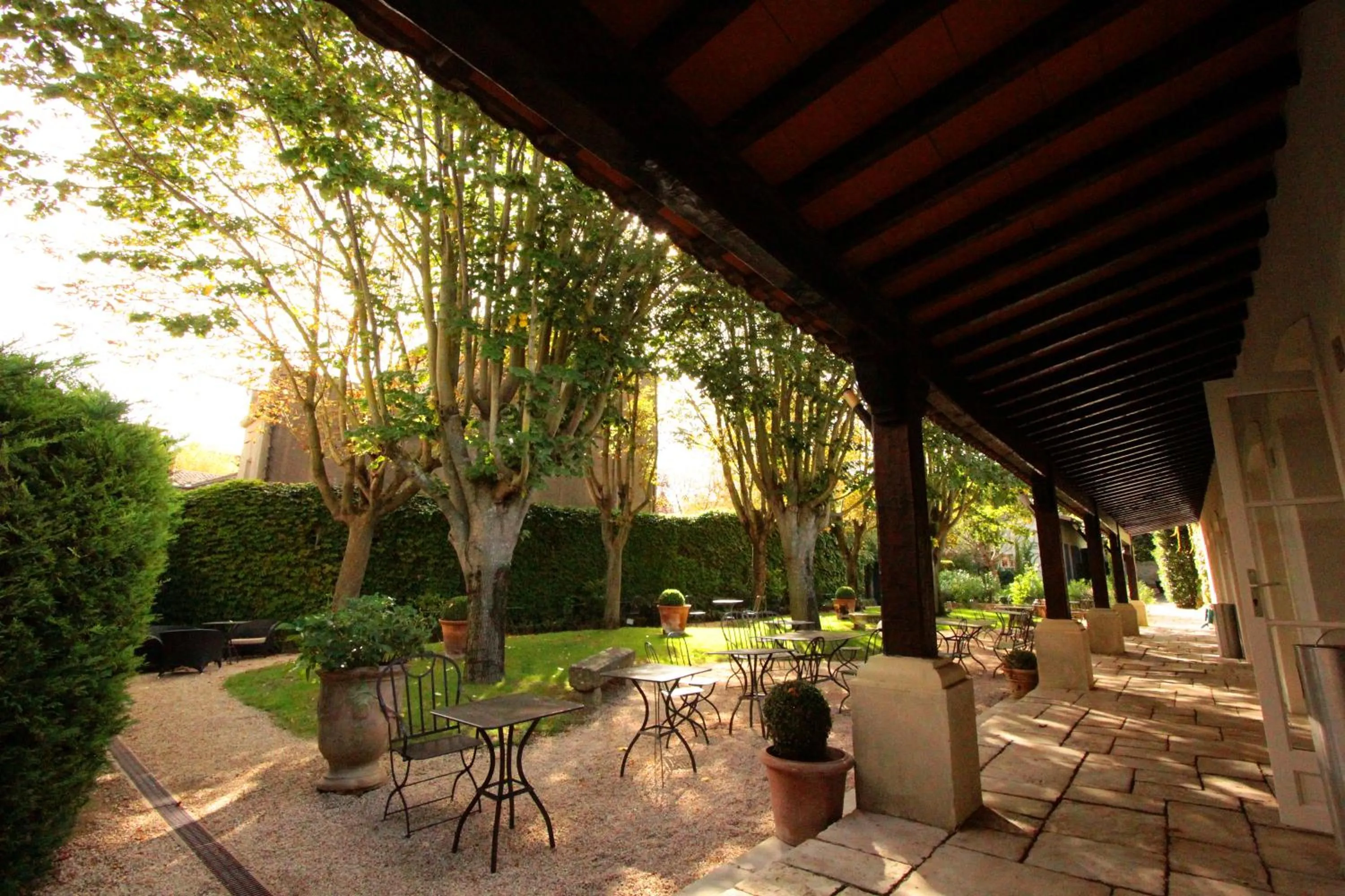 Garden in Hôtel Le Donjon - Cœur de La Cité Médiévale