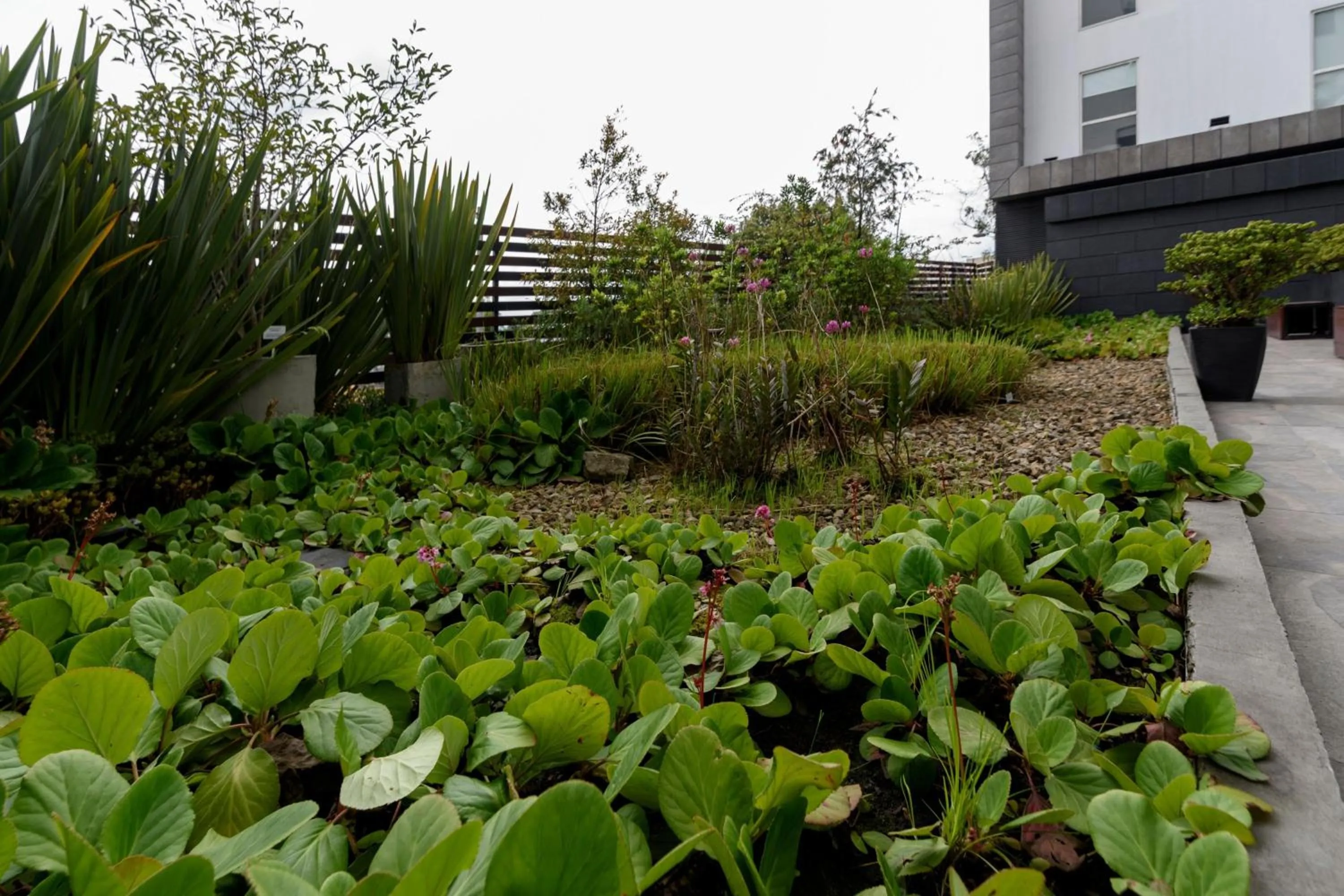 Other in City Express Junior by Marriott Bogota Aeropuerto