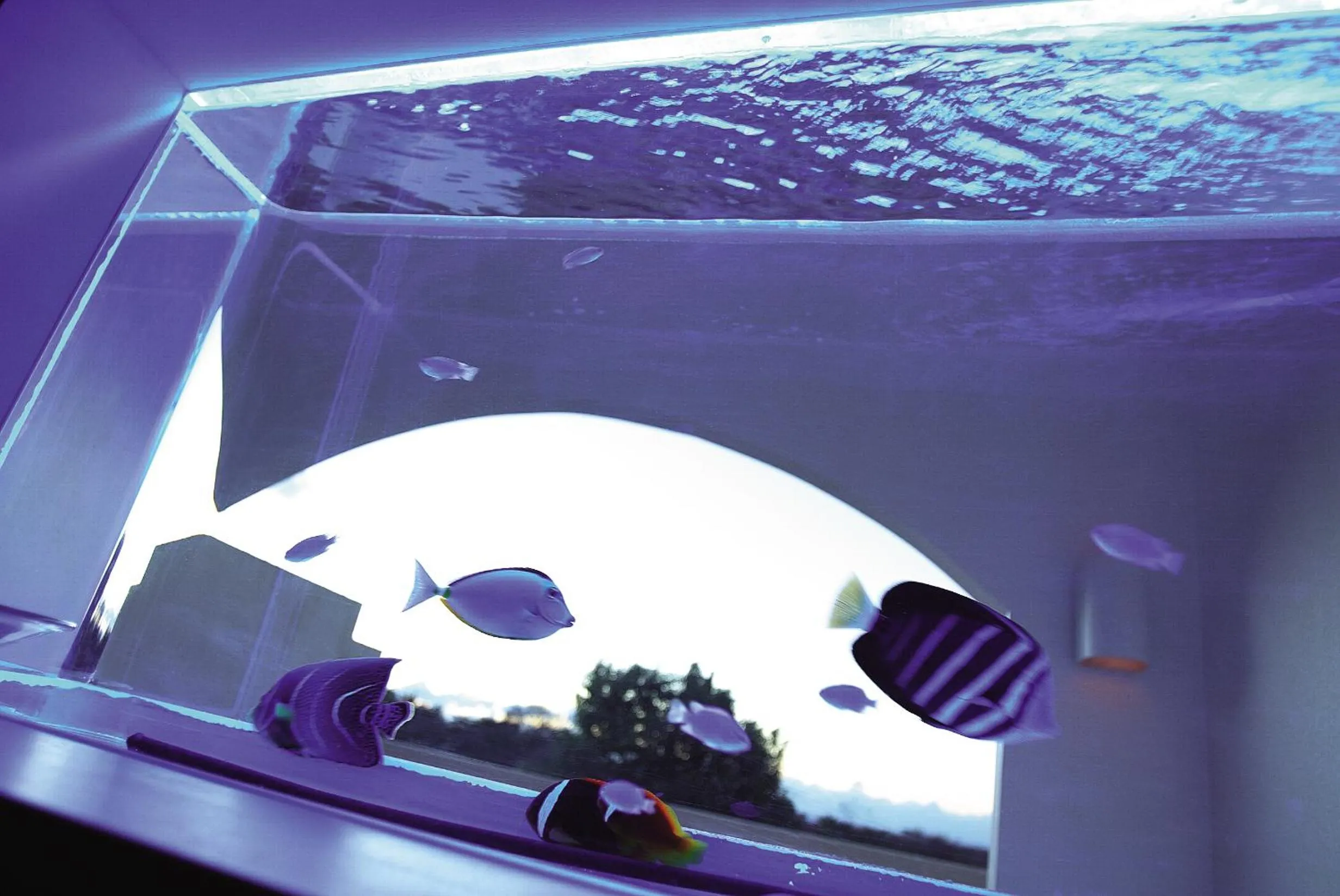 Resort Hotel Corte Largo Izu Kogen