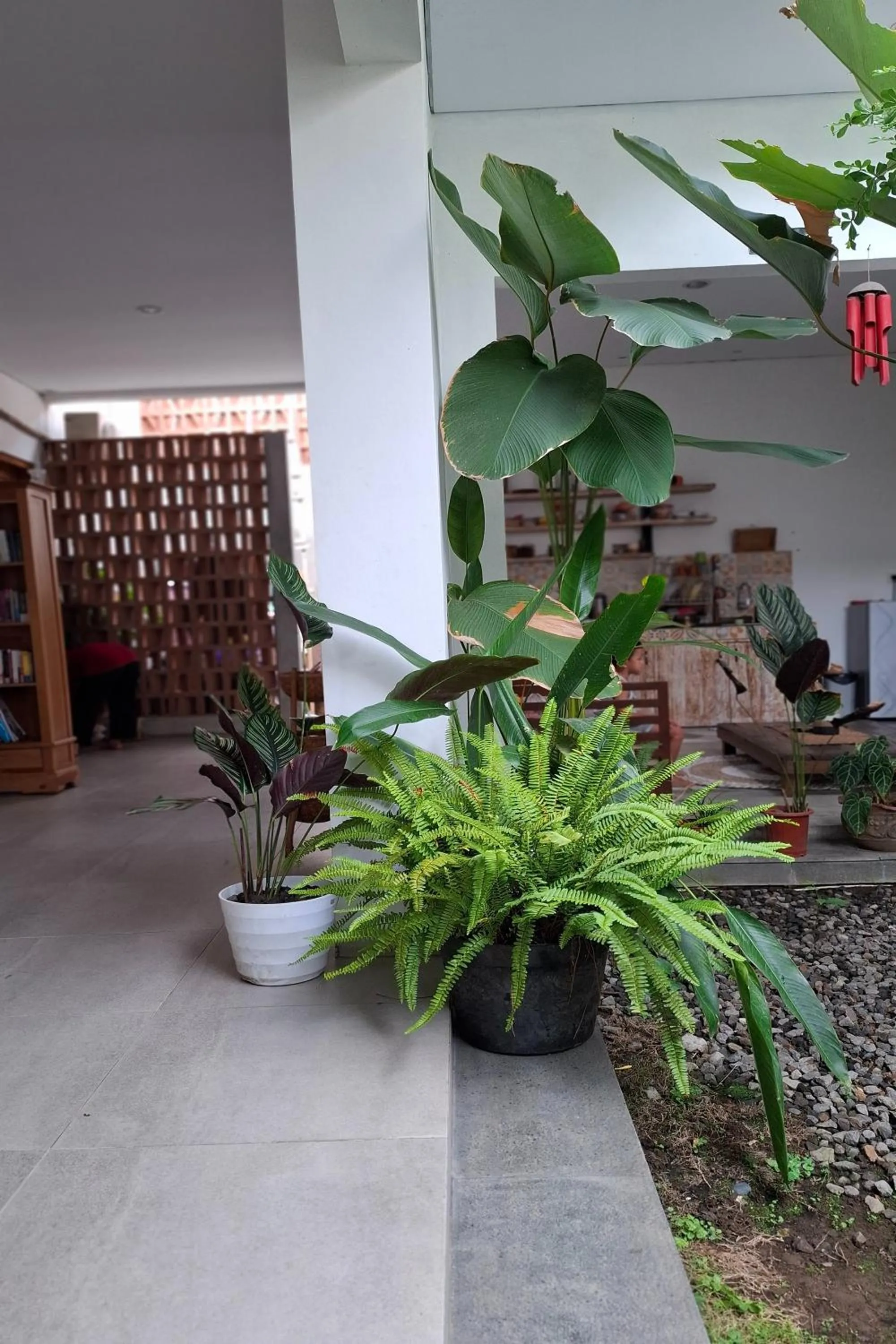 Garden in Bring In House Yogyakarta