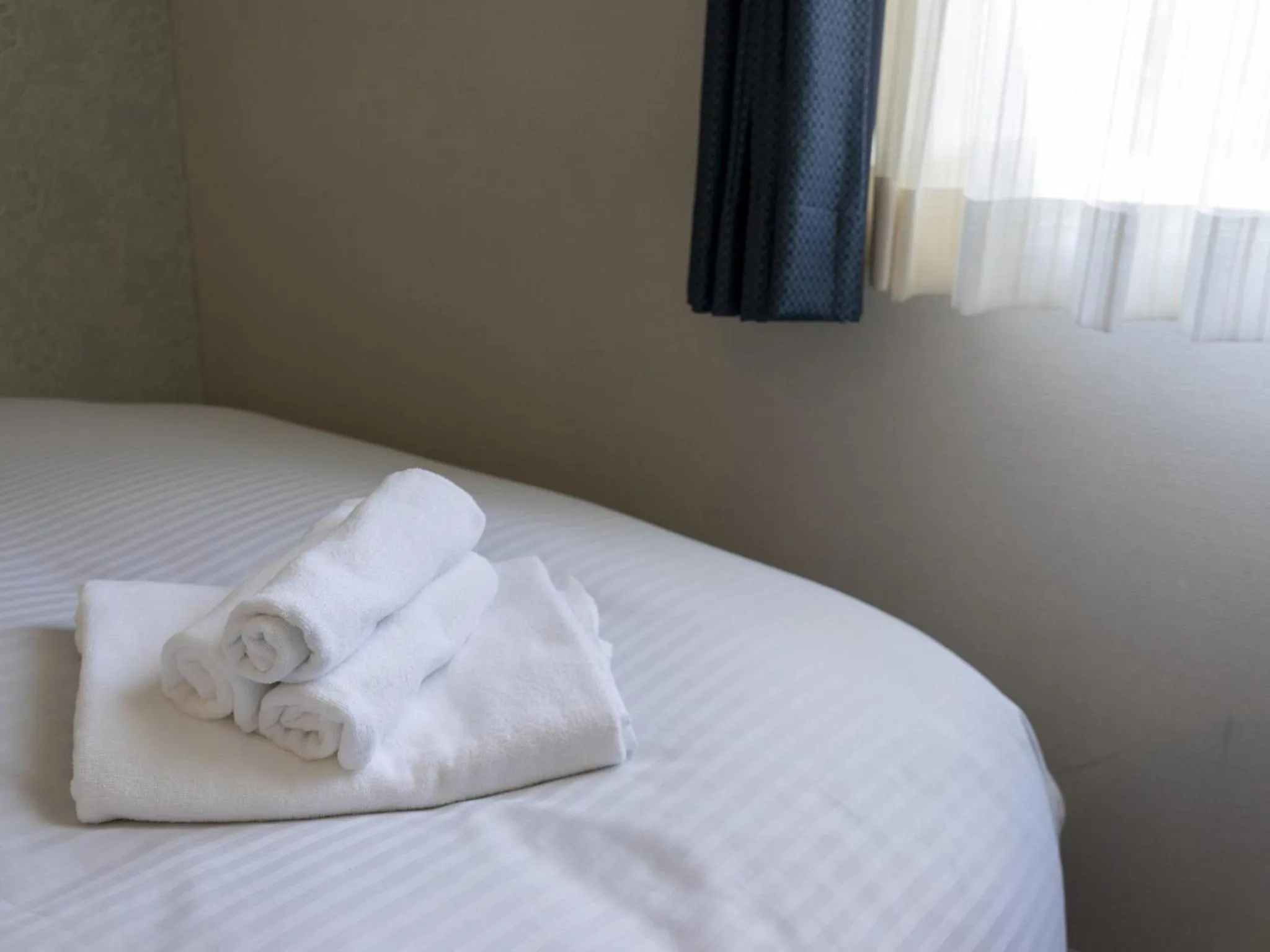 Photo of the whole room, Bed in Hotel New Gaea Domemae