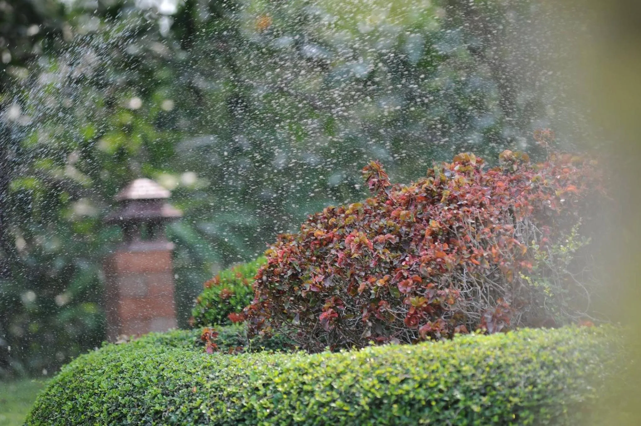 Garden in Chuanthanapanya Resort