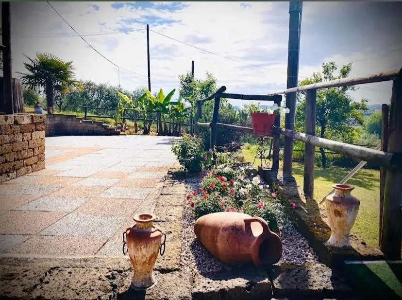 Spring in Brojo Hill