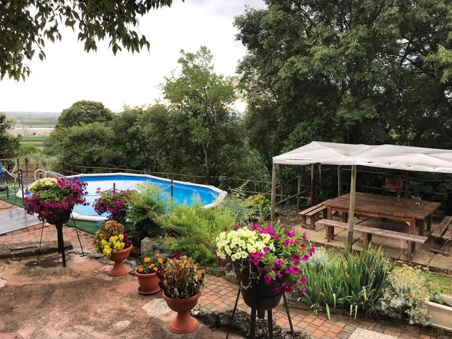 Garden in Brojo Hill