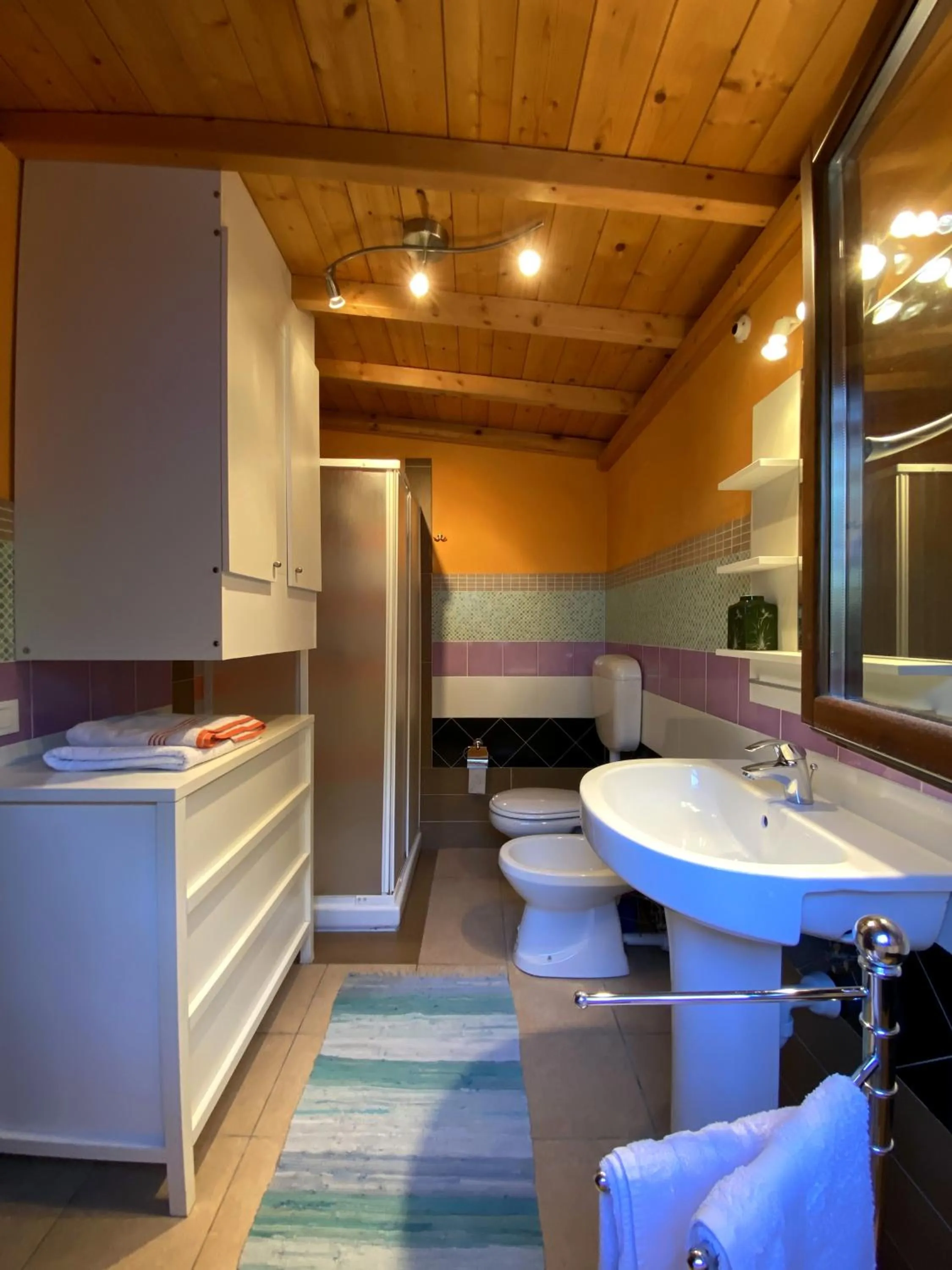 Toilet in Brojo Hill