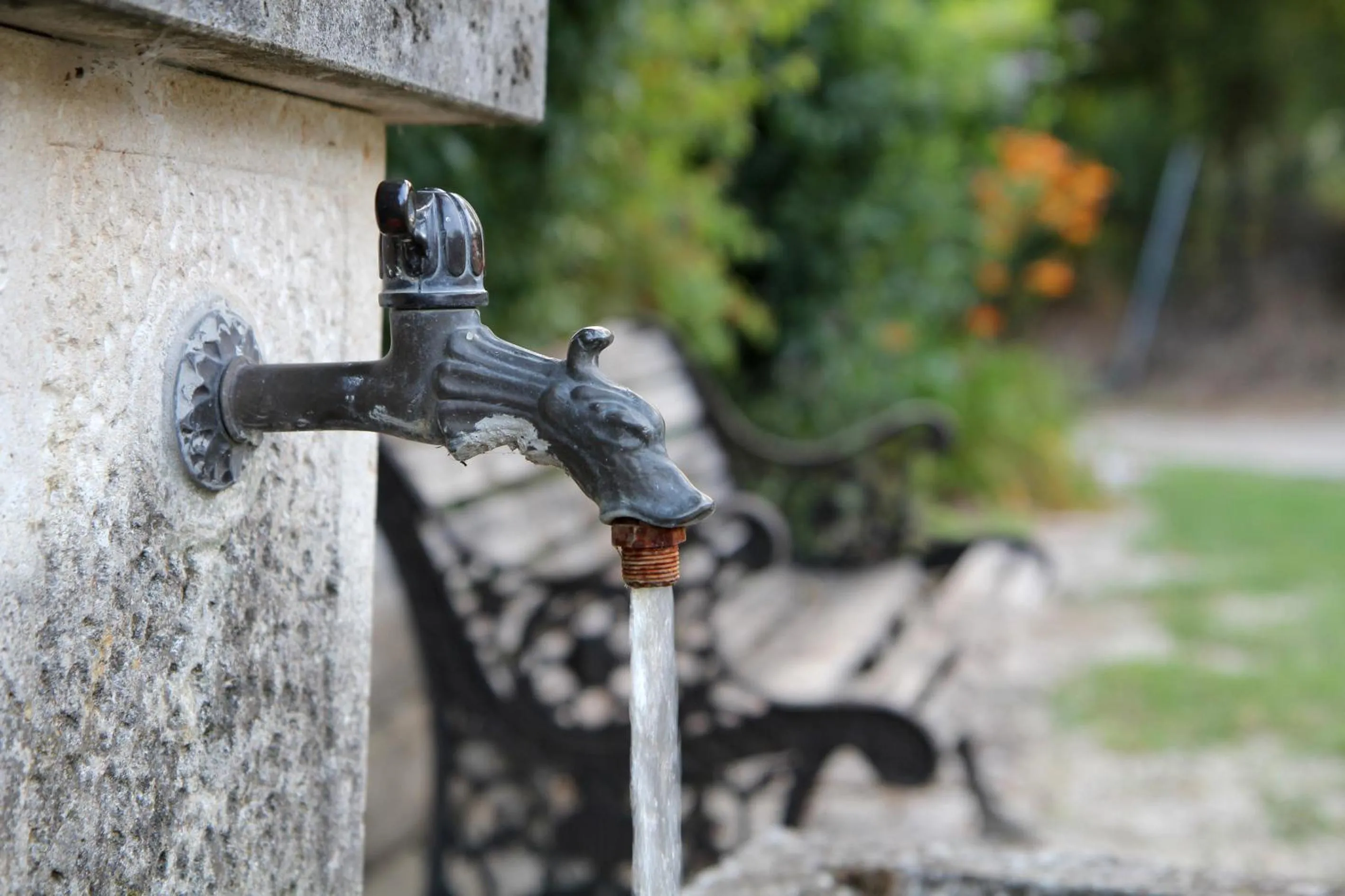Garden in Brojo Hill