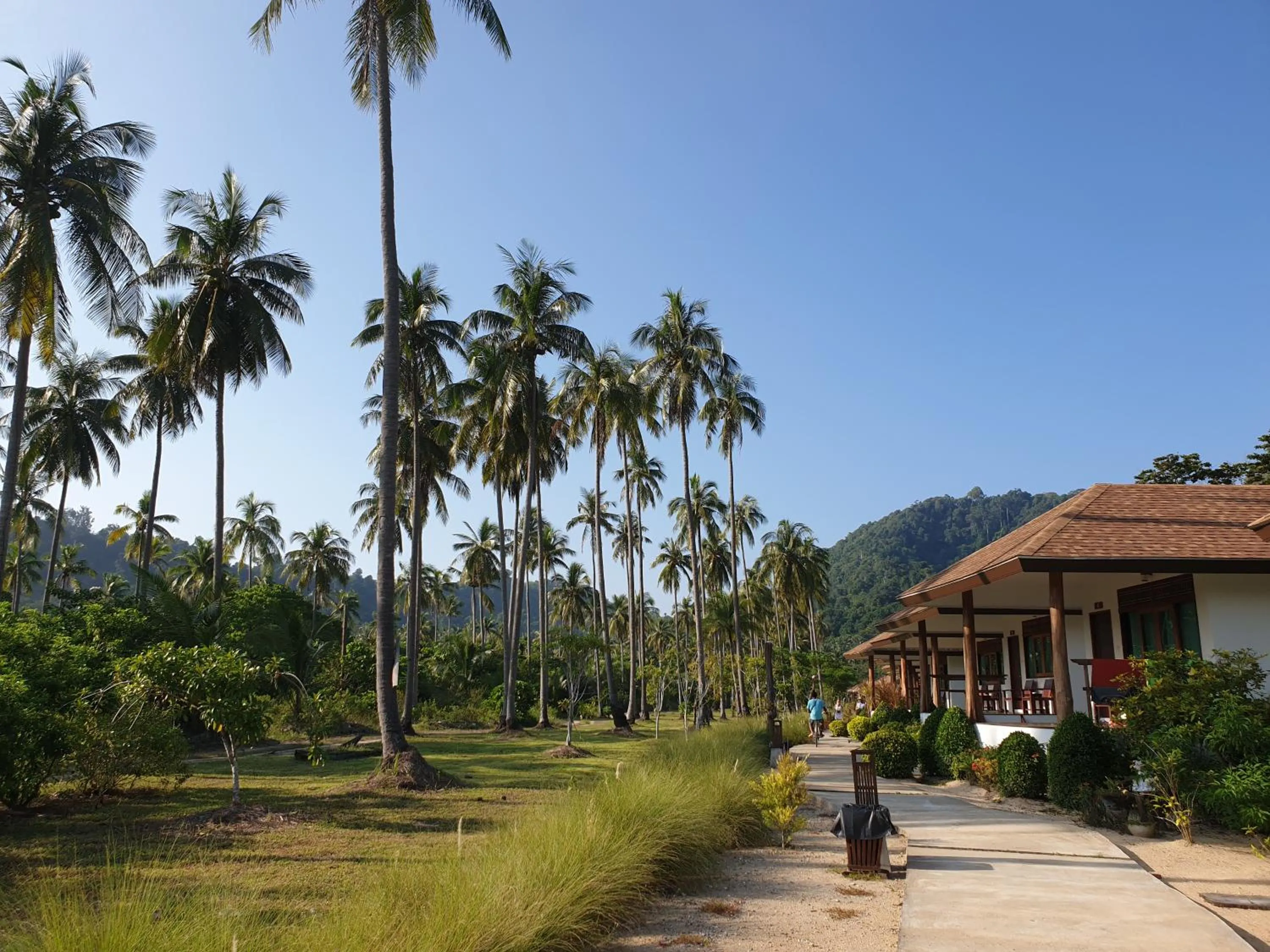 Garden in Koh Ngai Paradise Beach