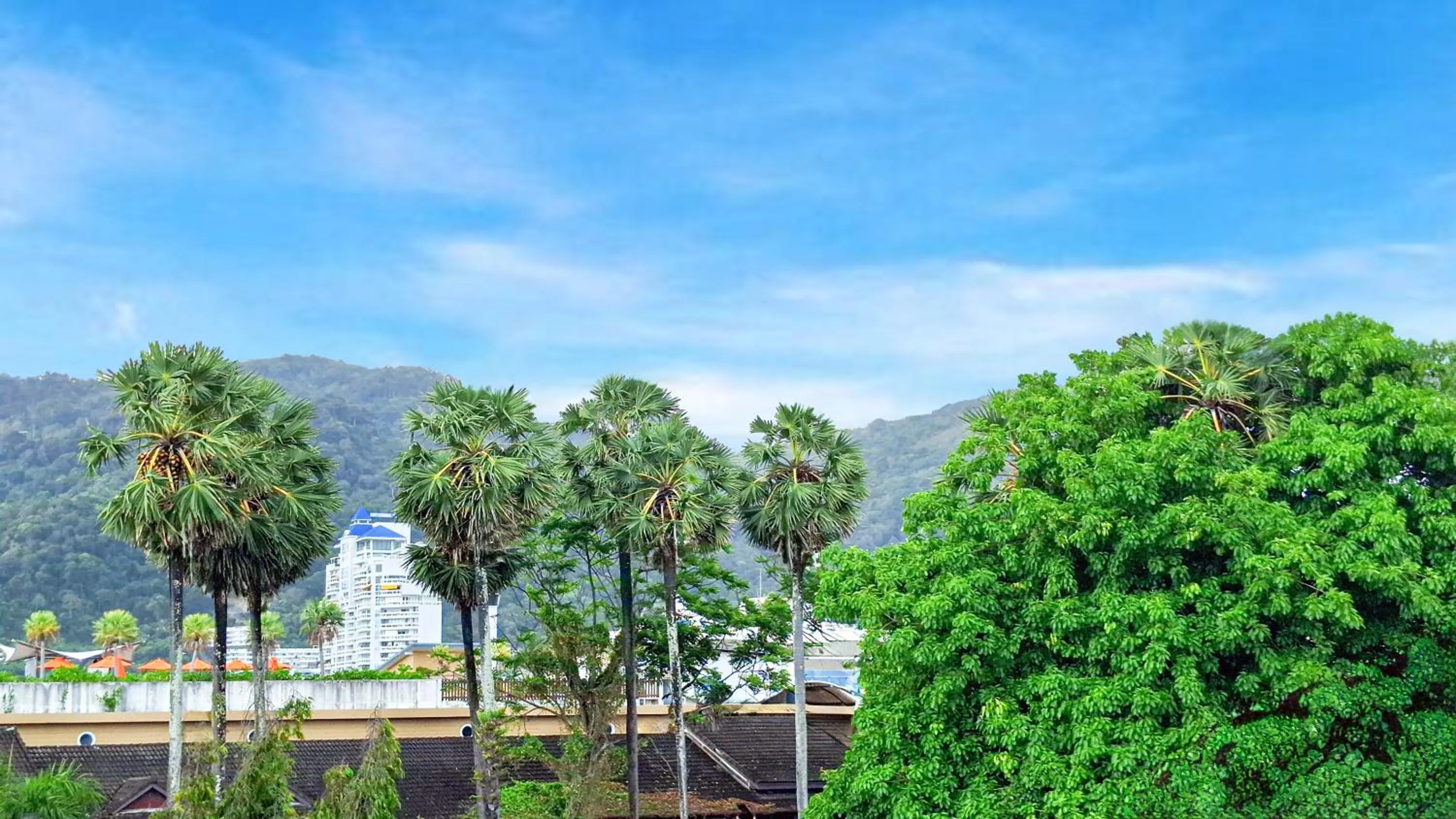 Mountain view in Clarian Hotel Beach Patong