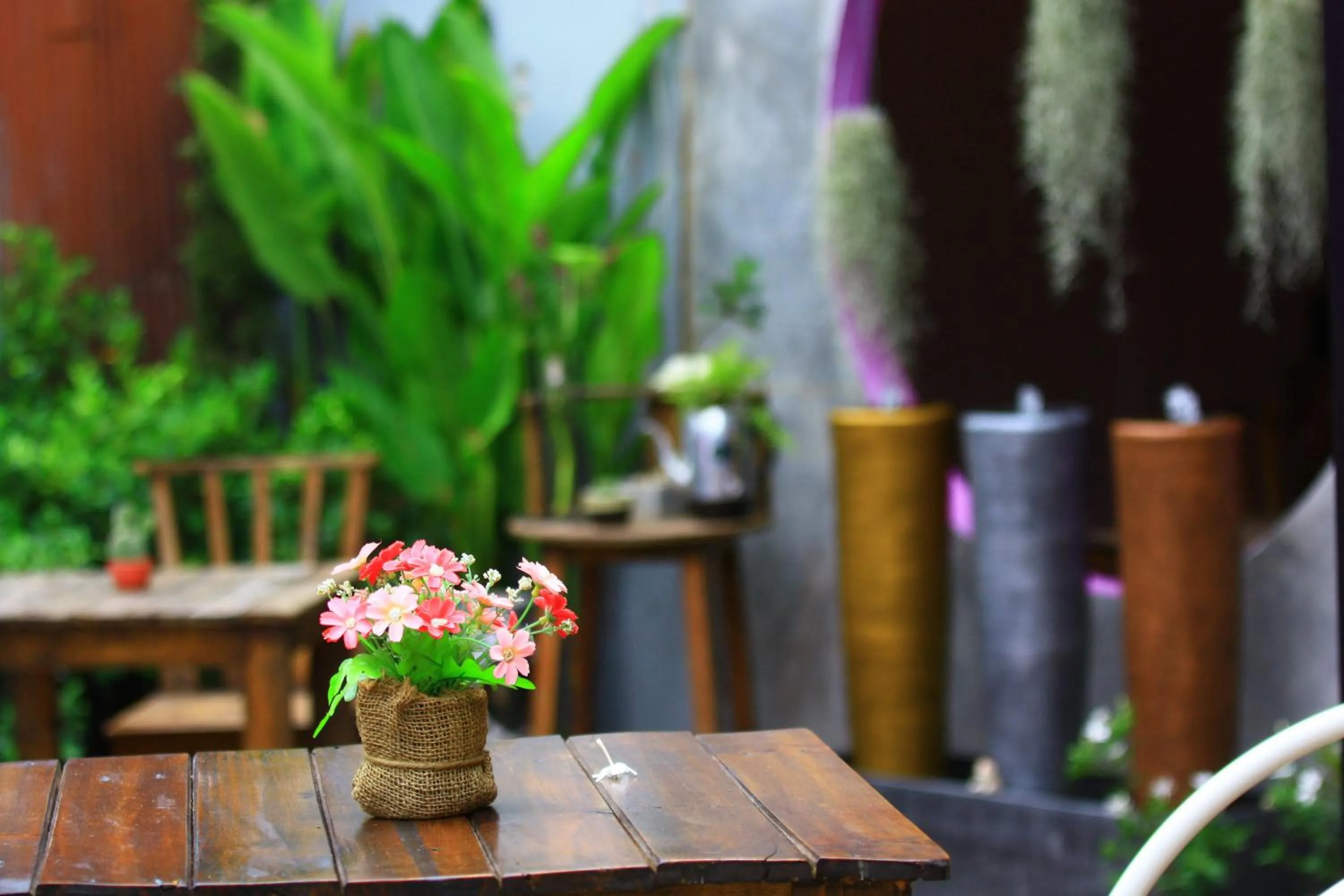 Garden in Paapu House