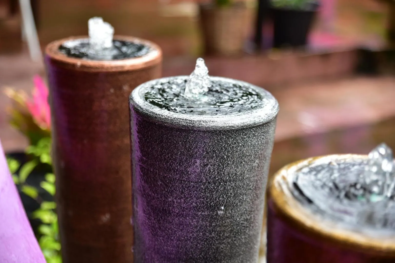 Garden in Paapu House