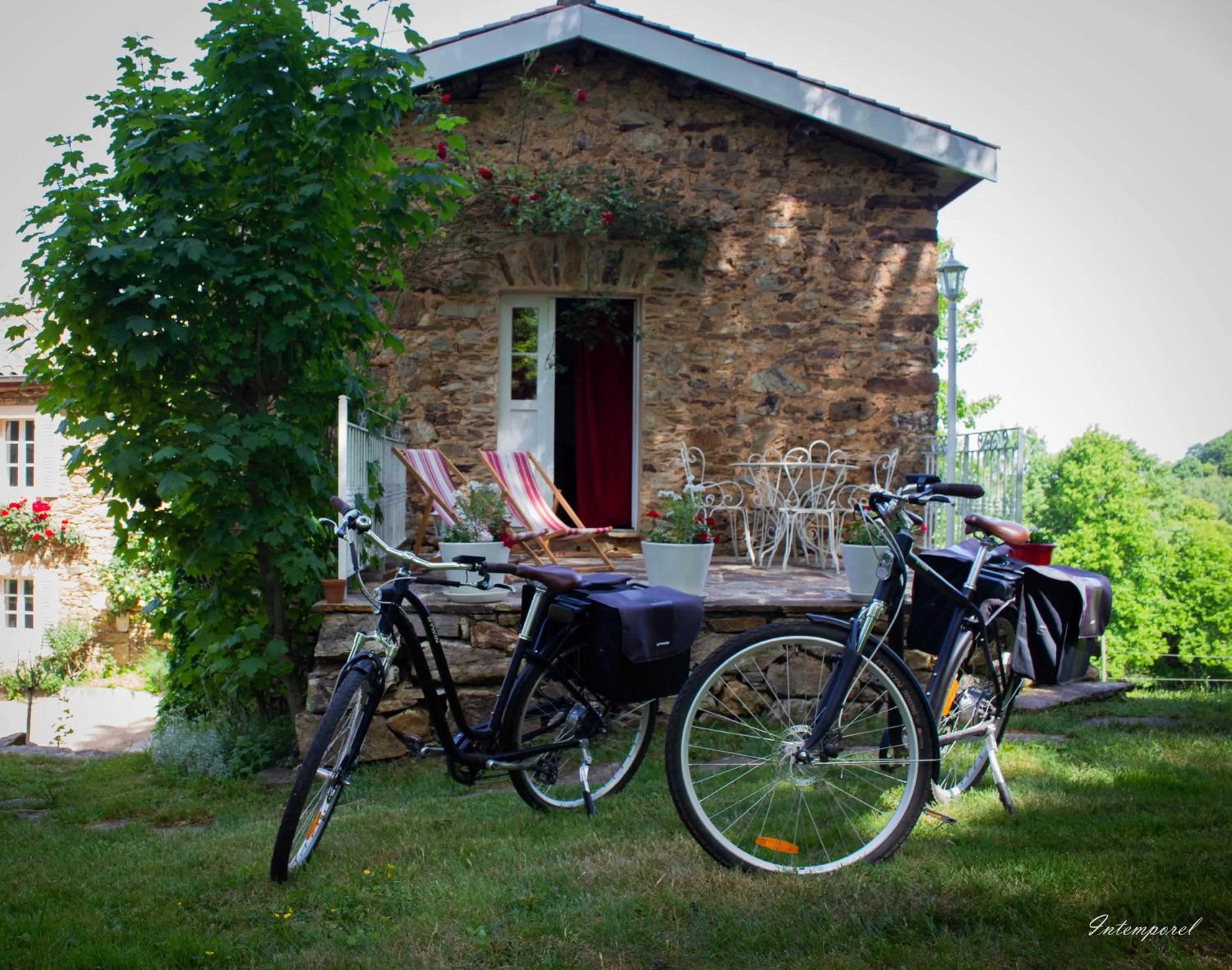 Cycling in Chambre d'hôtes Puech Noly