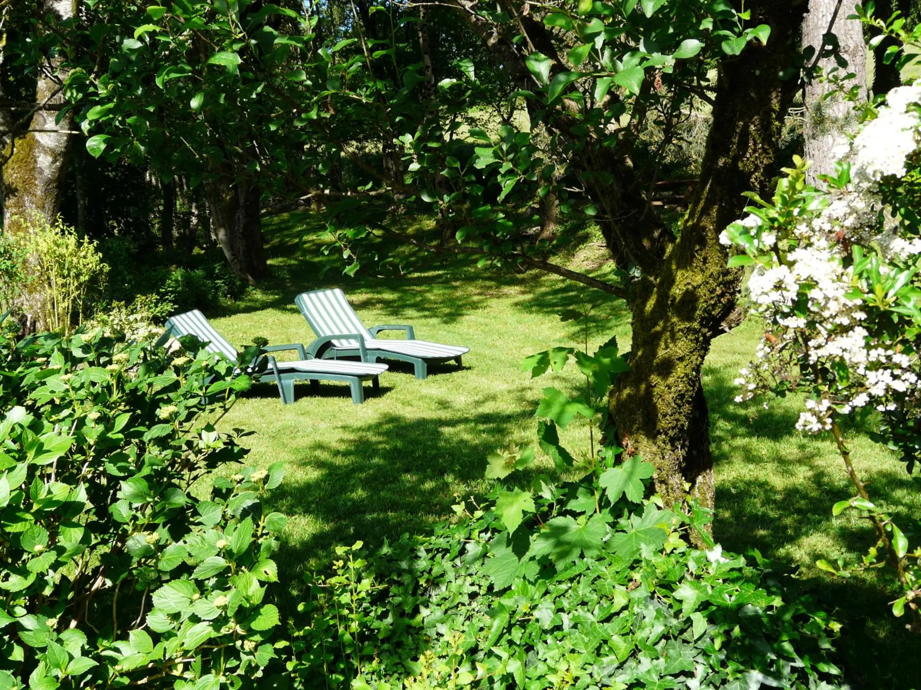 Natural landscape in Chambre d'hôtes Puech Noly
