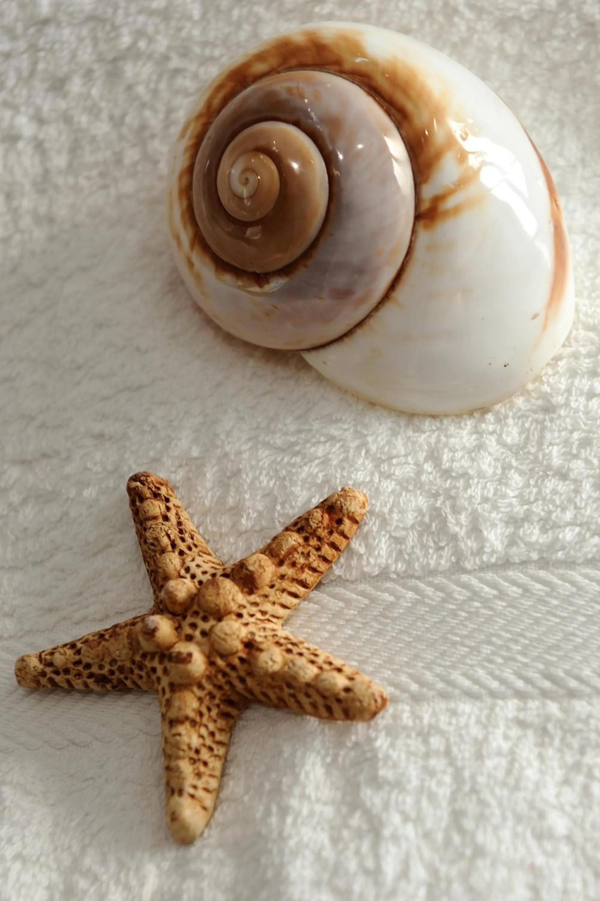 Bathroom in Atticobianco B&B