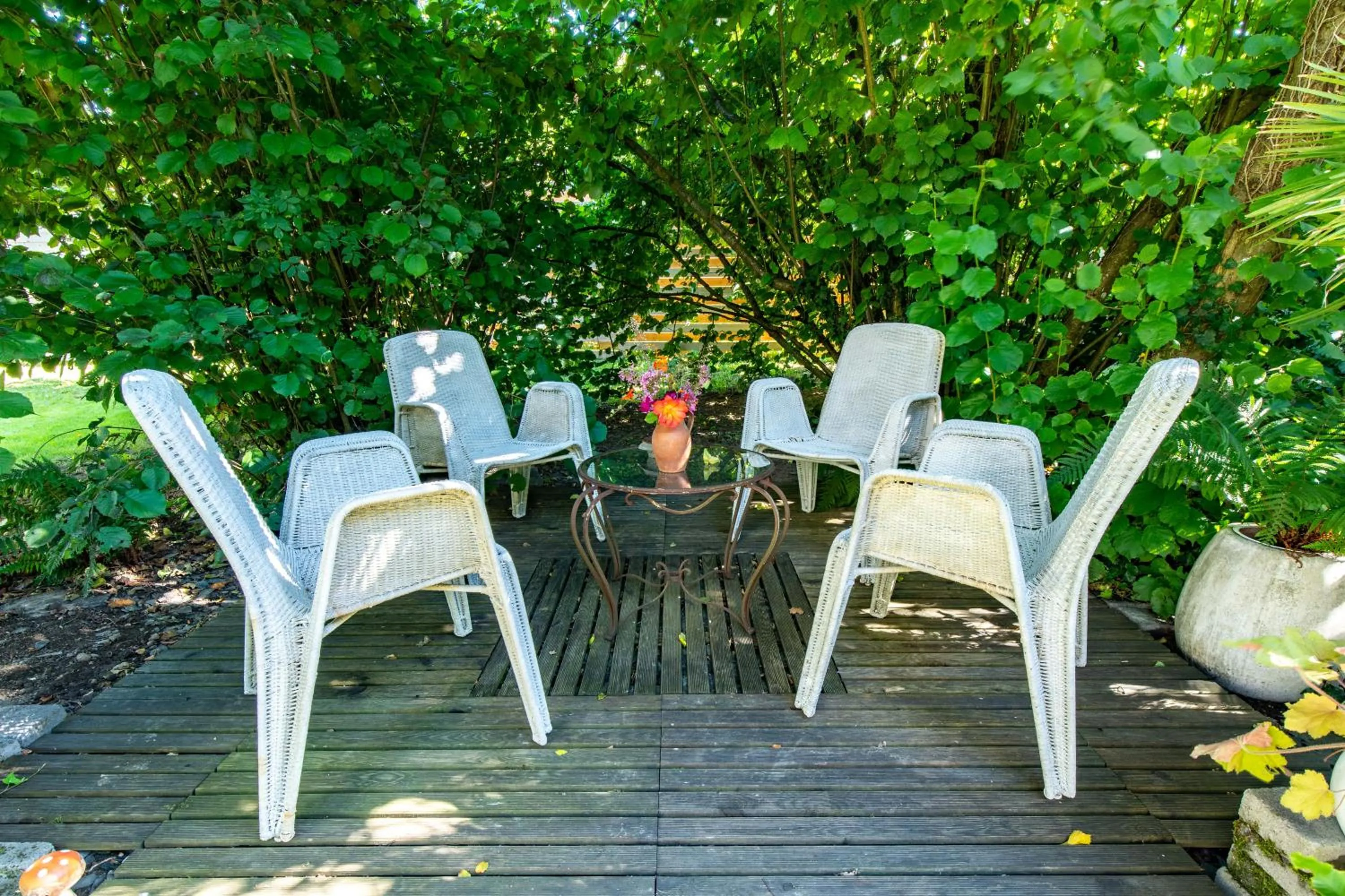 Garden in Presbytère de Pancé