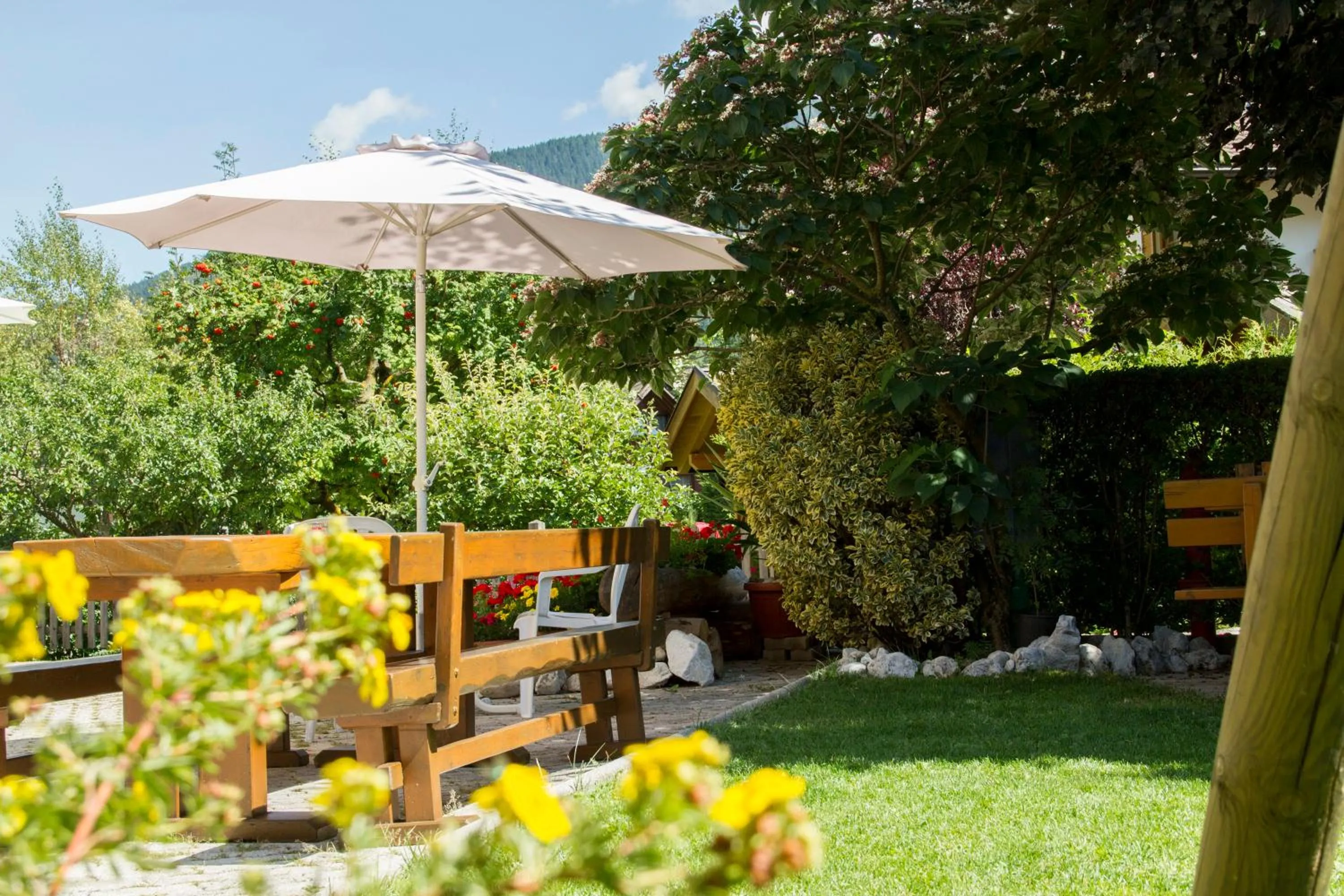 Garden view in Hotel Genzianella