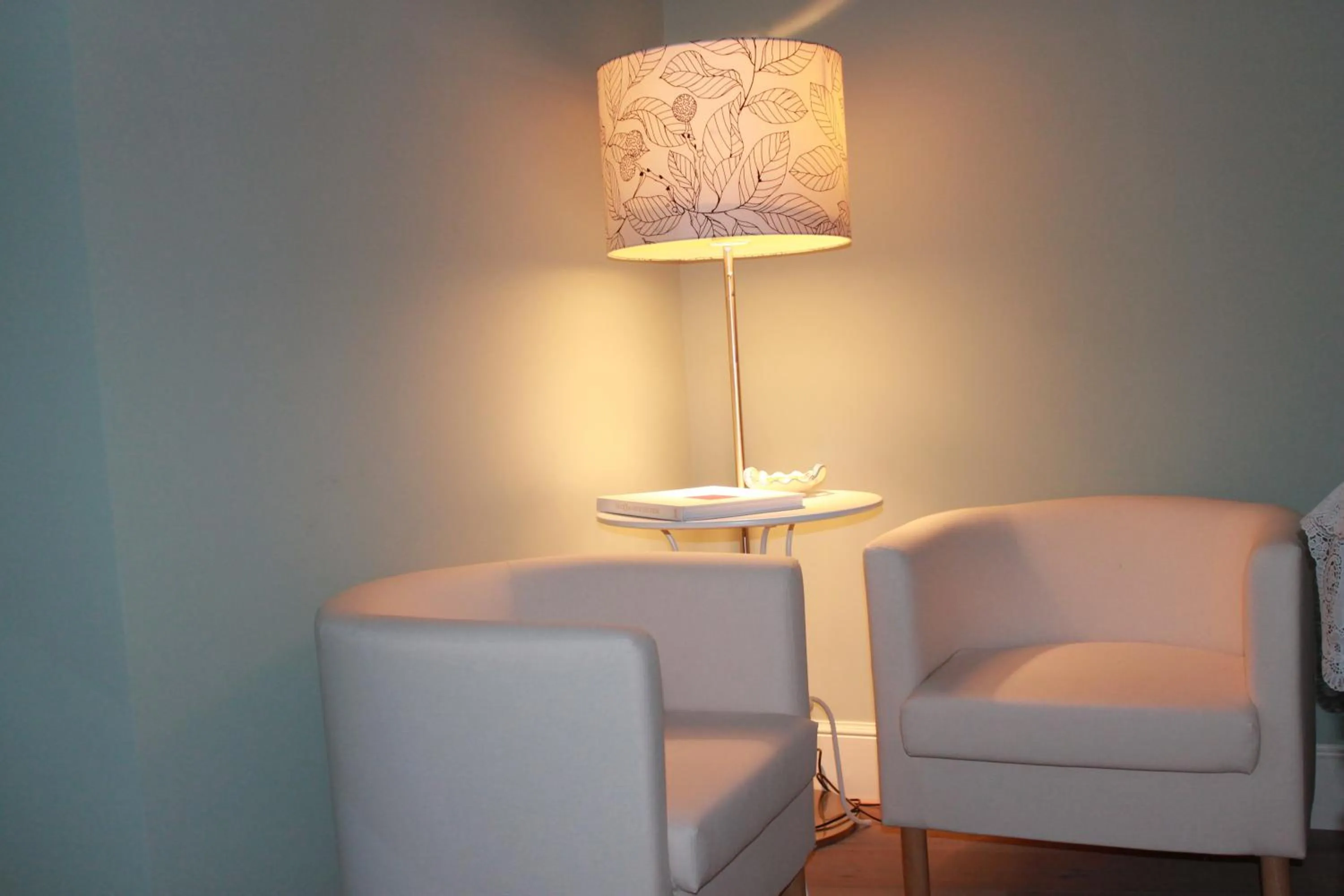 Communal lounge/ TV room in Il Leone Blu