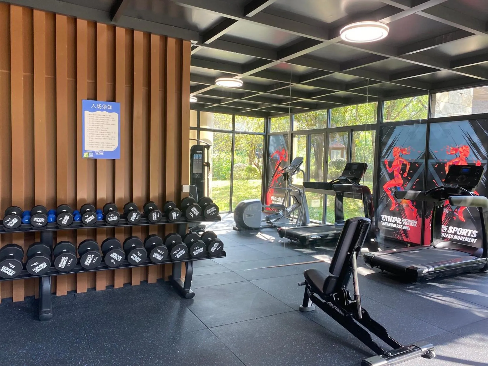 Fitness centre/facilities in Holiday Inn Express Emei Mountain, an IHG Hotel