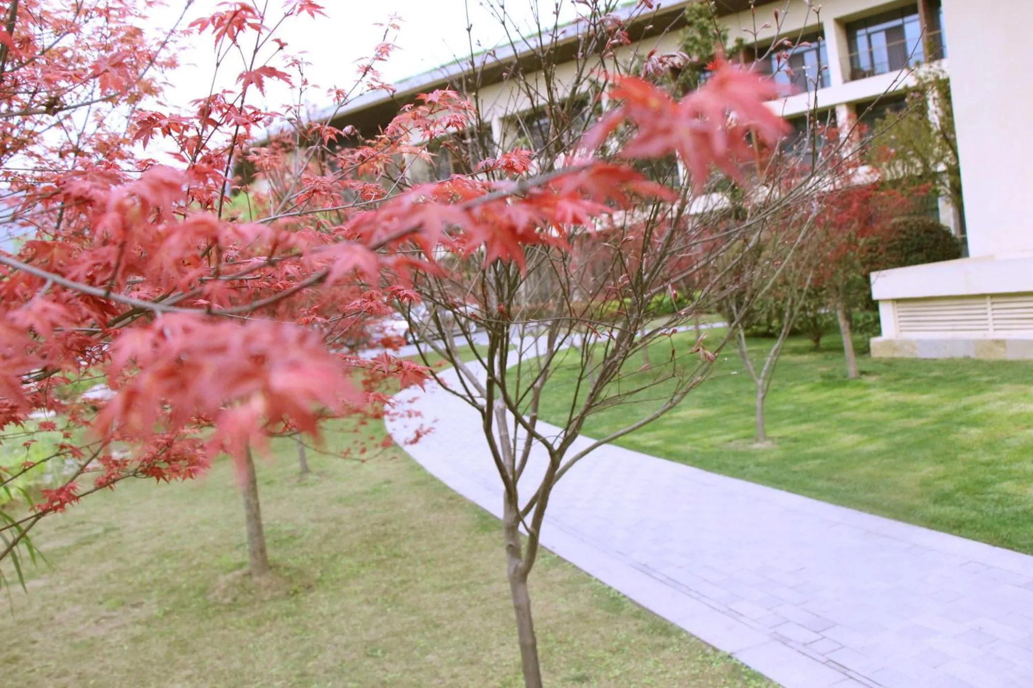 Property building in Holiday Inn Express Emei Mountain, an IHG Hotel