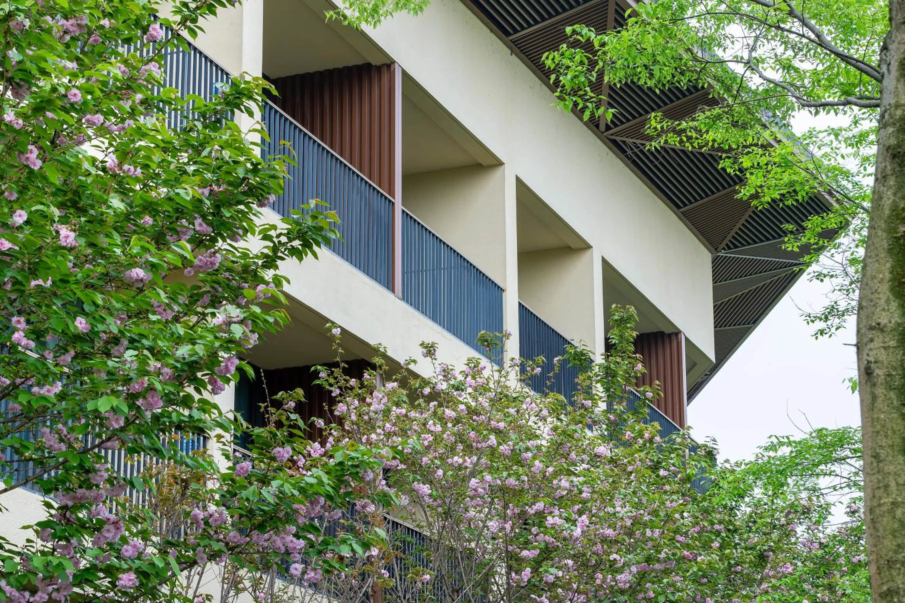 Property building in Holiday Inn Express Emei Mountain, an IHG Hotel