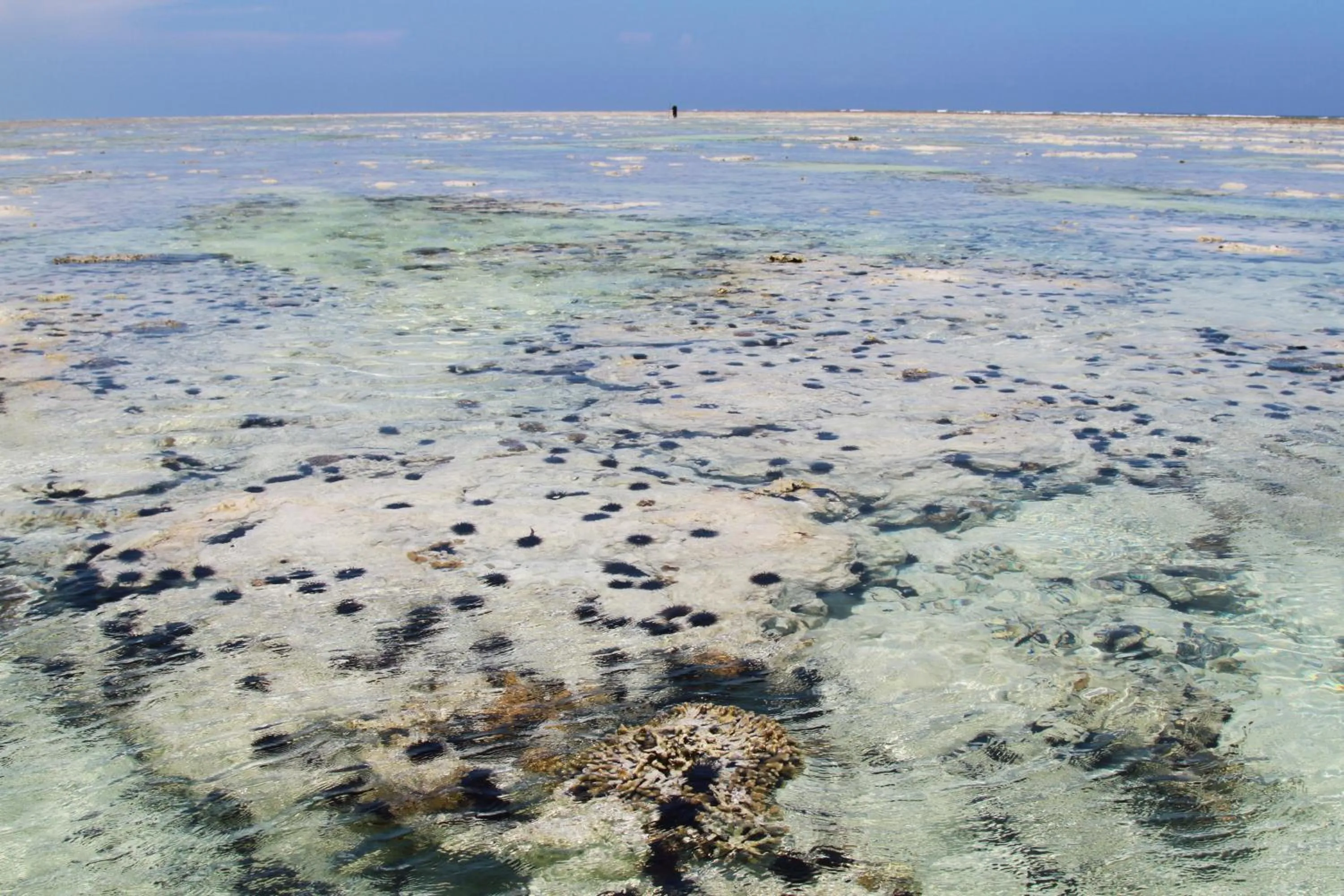 On site in Ujamaa Beach Resort