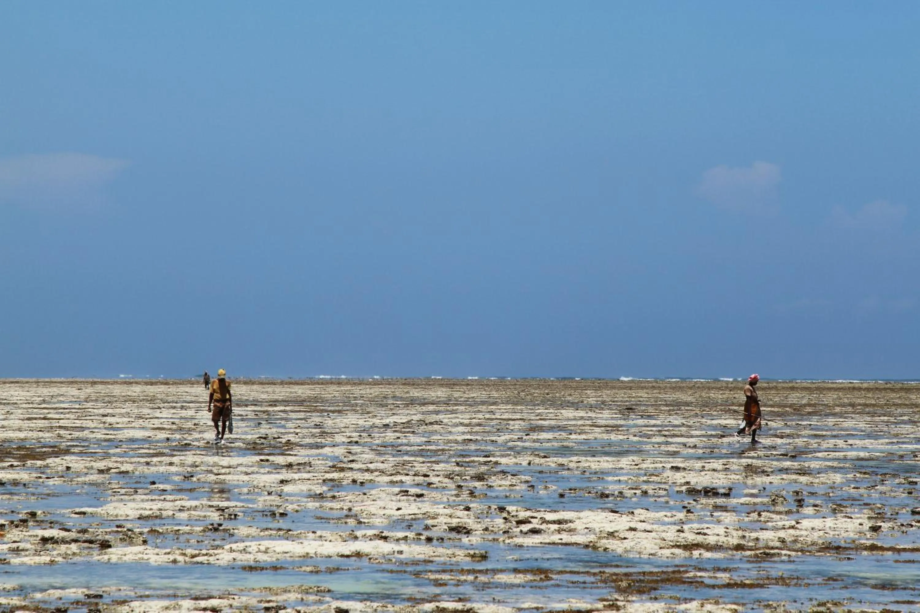Natural landscape in Ujamaa Beach Resort