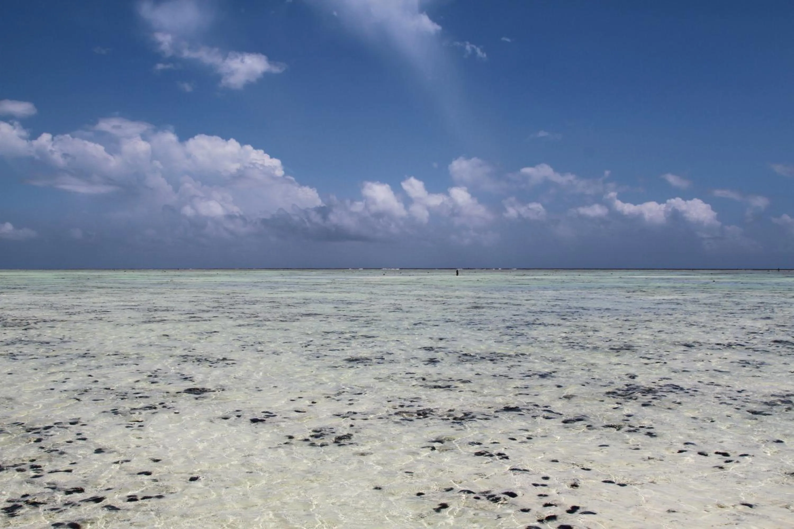 Beach in Ujamaa Beach Resort