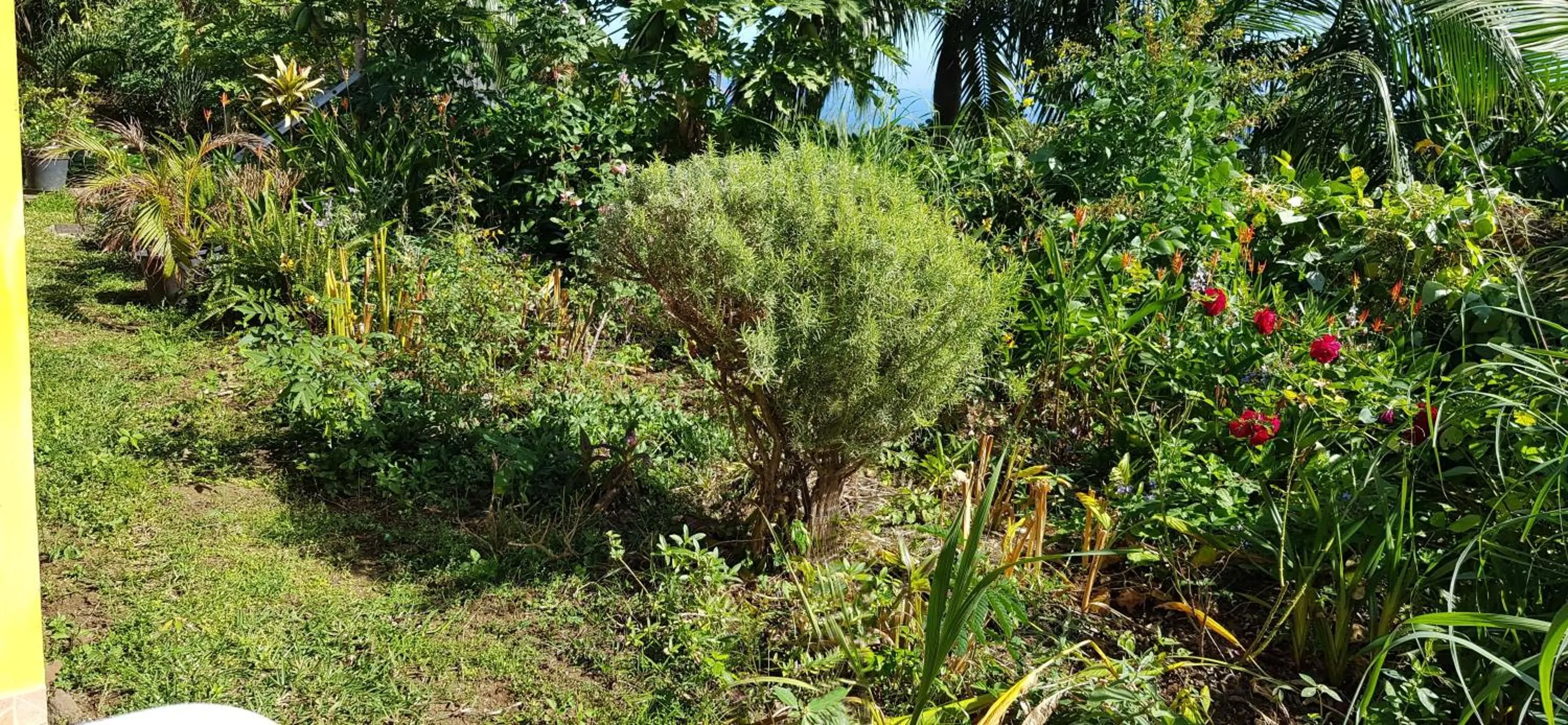 Property building in GITE-Hotel LA CAZ DES ORANGERS