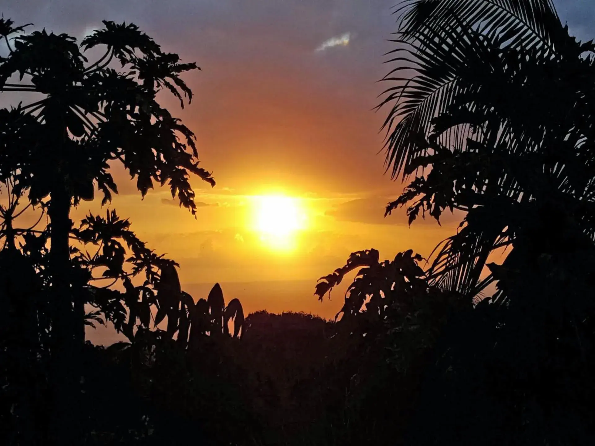 Double Room in GITE-Hotel LA CAZ DES ORANGERS Double Room in GITE-Hotel LA CAZ DES ORANGERS