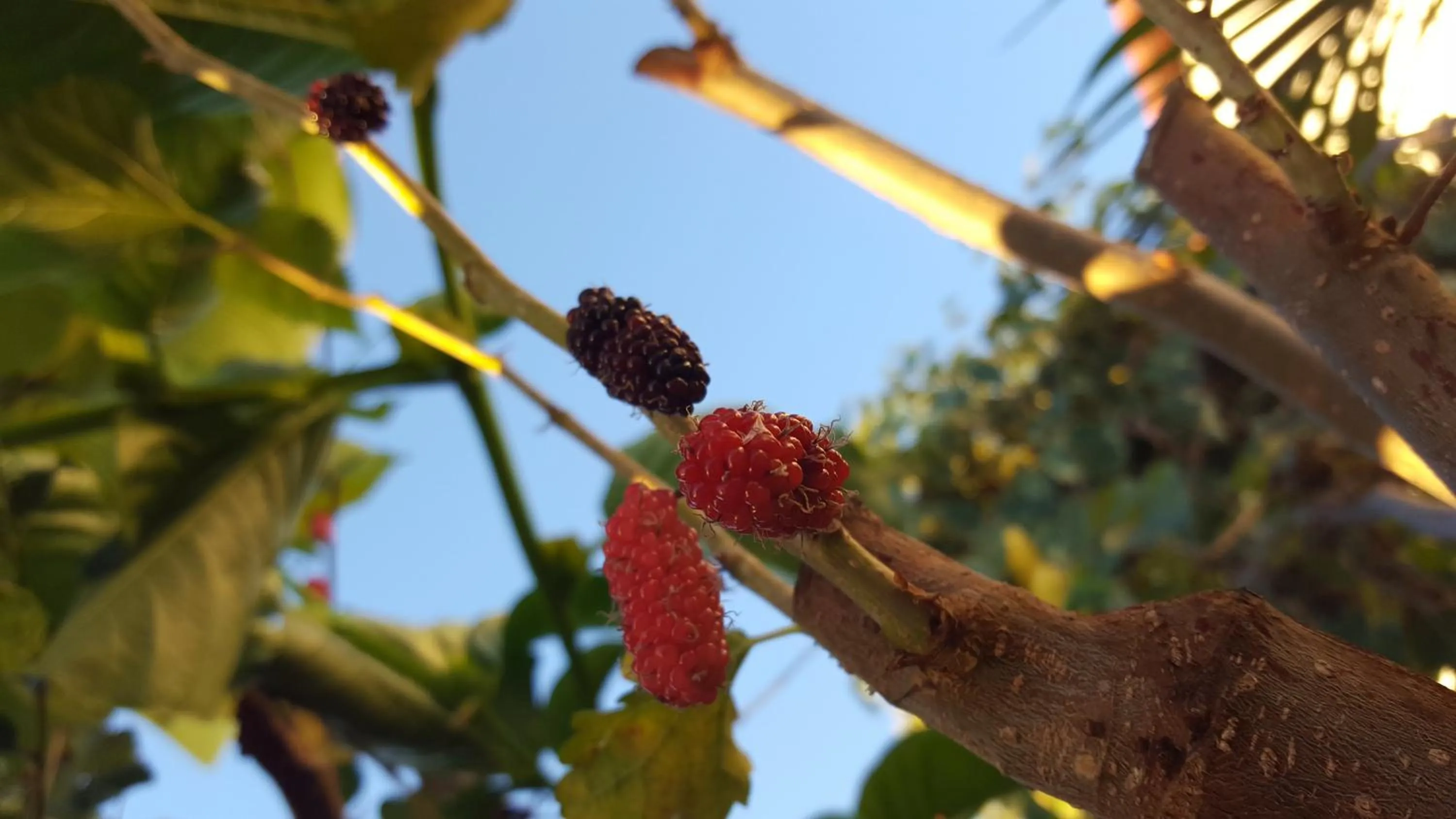 Property building in GITE-Hotel LA CAZ DES ORANGERS