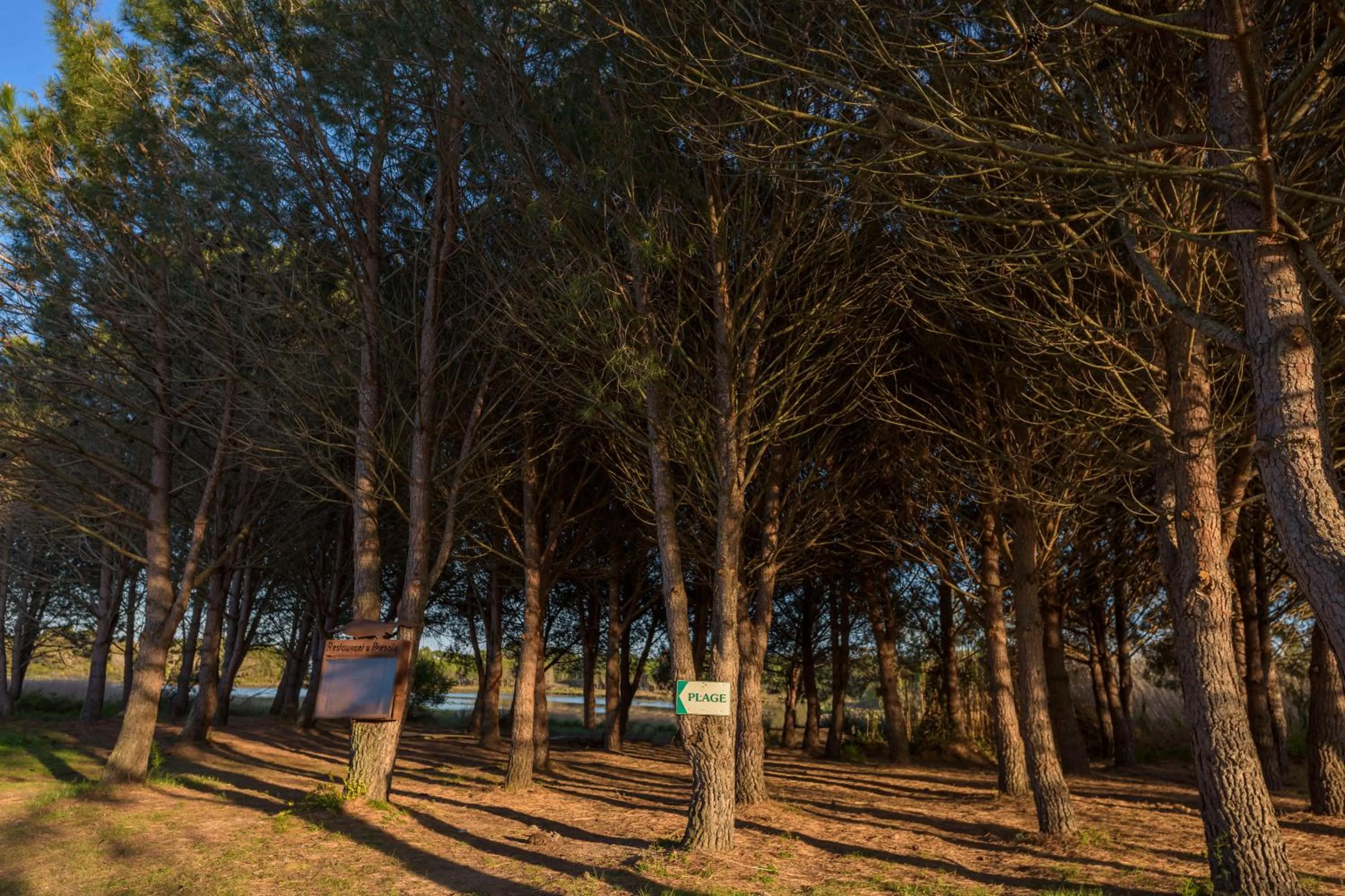 Property building in Hotel U Paesolu