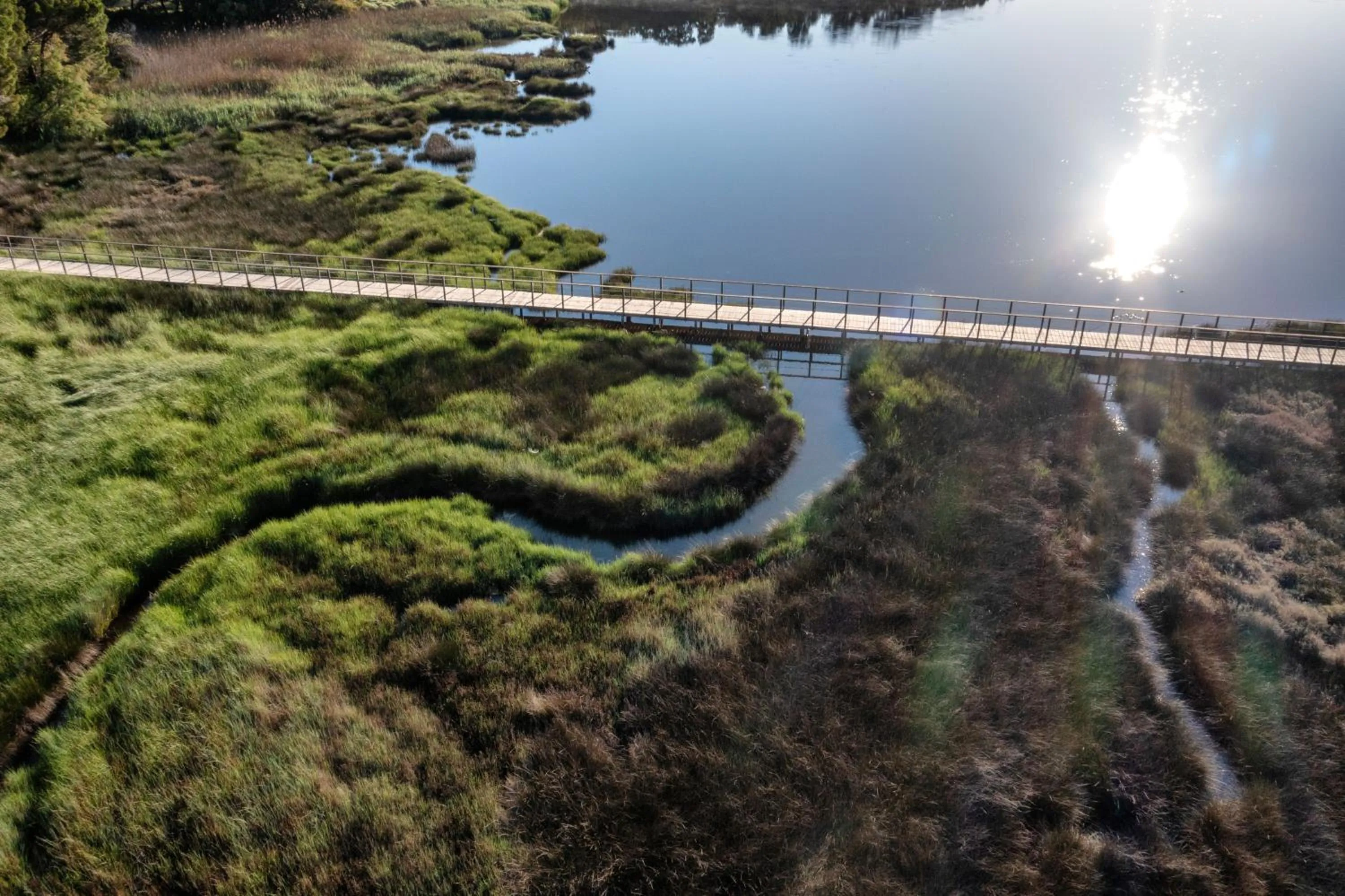 Garden in Hotel U Paesolu