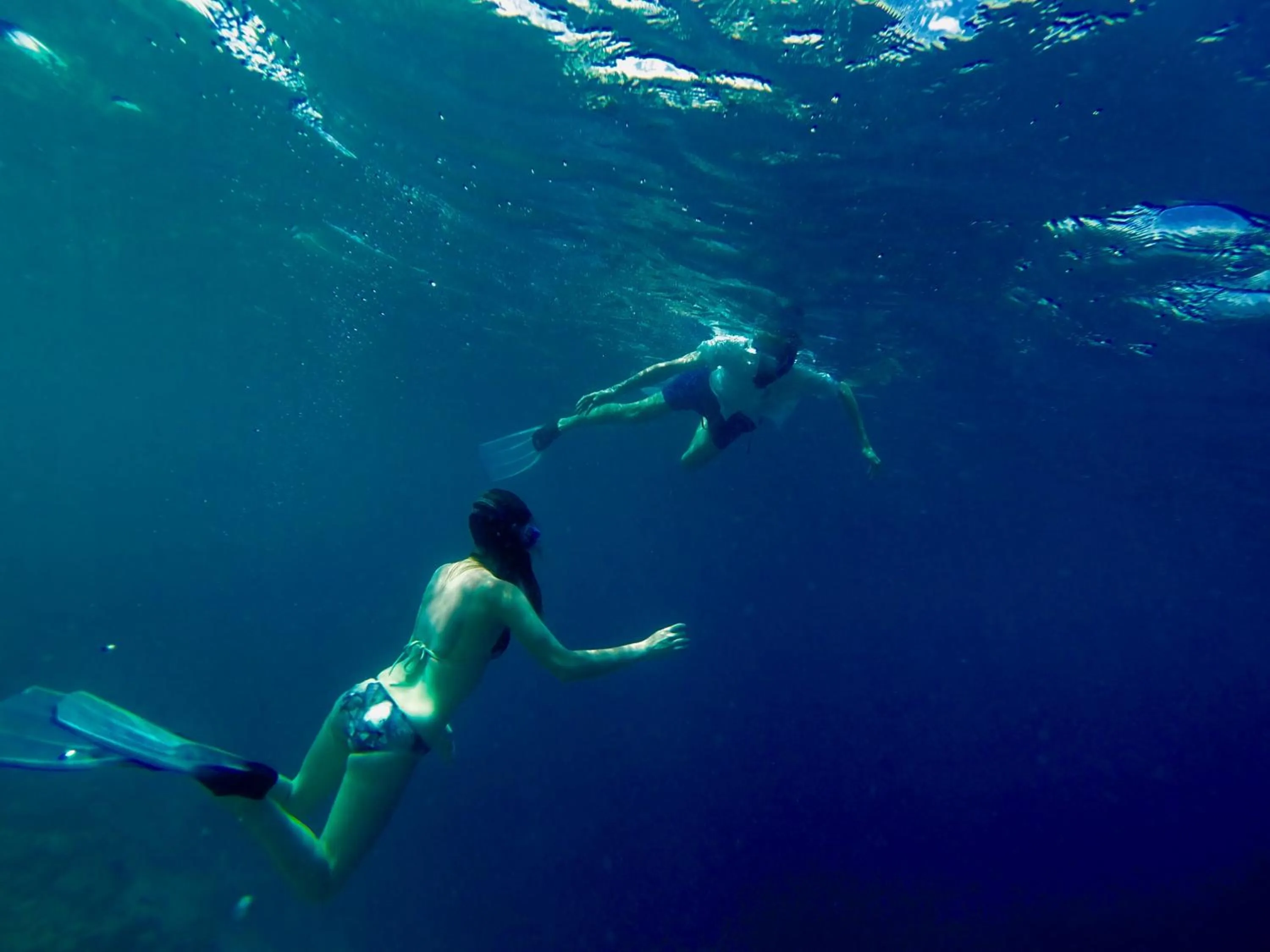 Activities in Ithaa Inn Kamadhoo