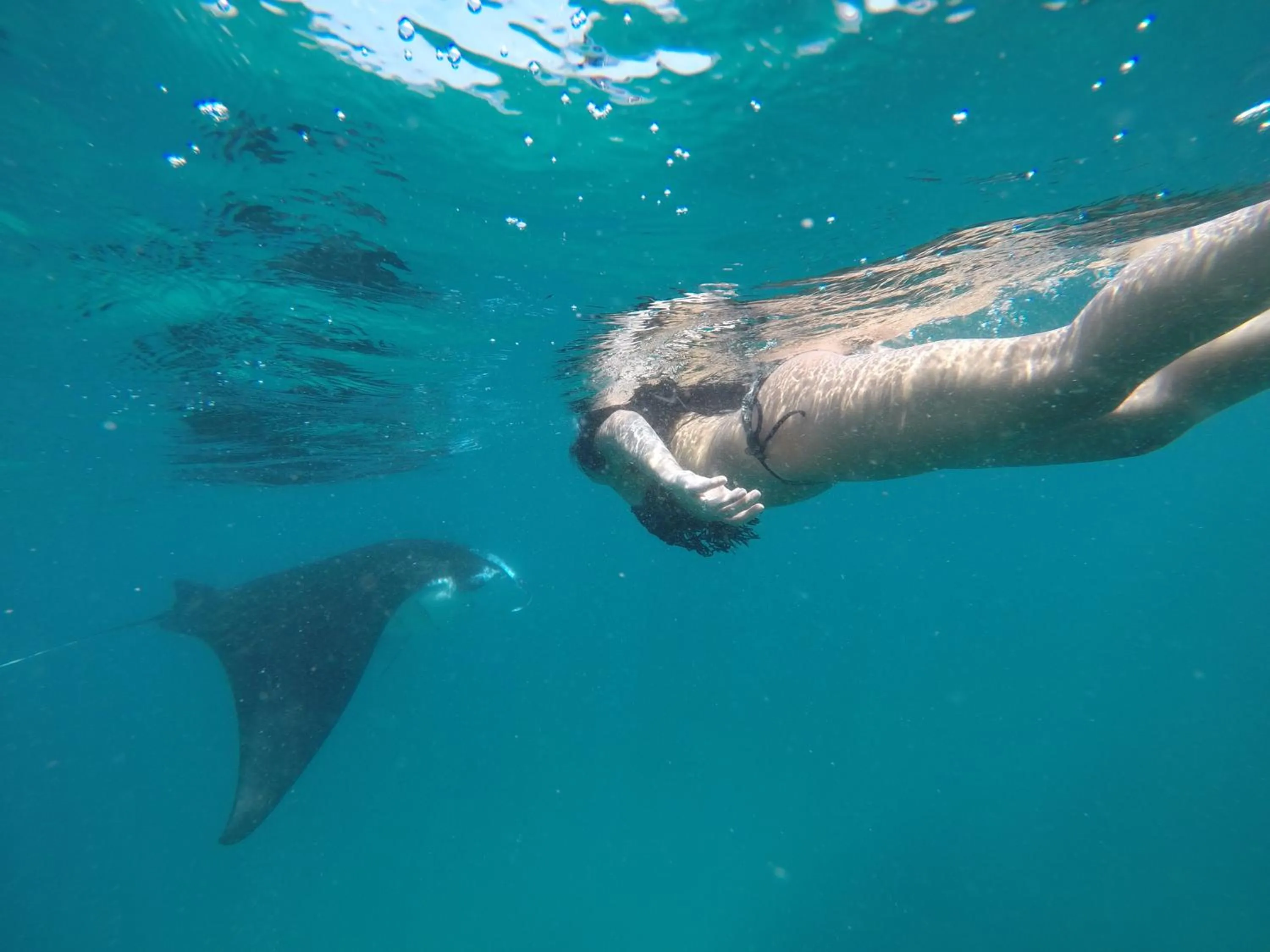 Snorkeling in Holiday Haven Ukulhas