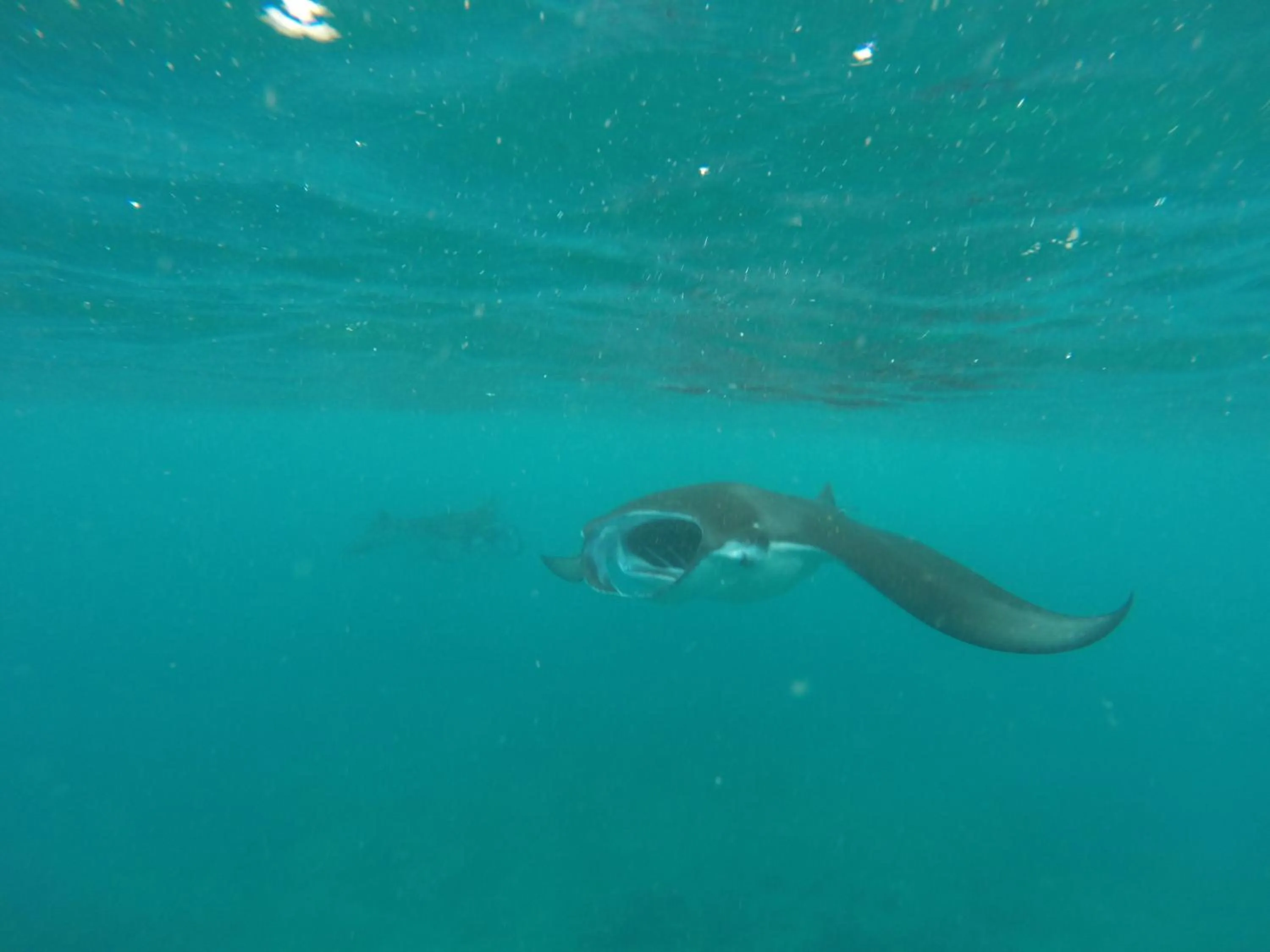 Activities in Holiday Haven Ukulhas