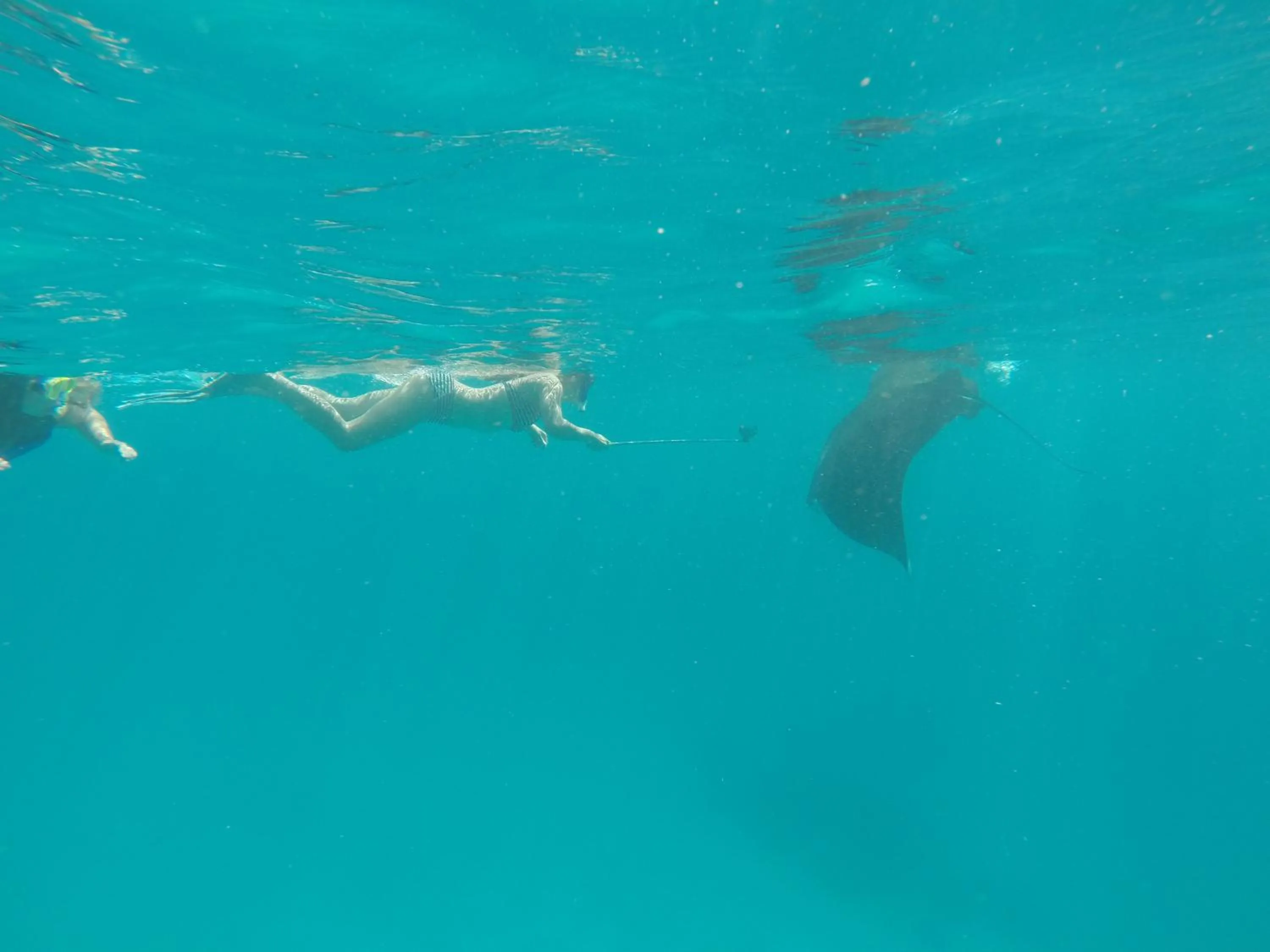 Natural landscape in Holiday Haven Ukulhas