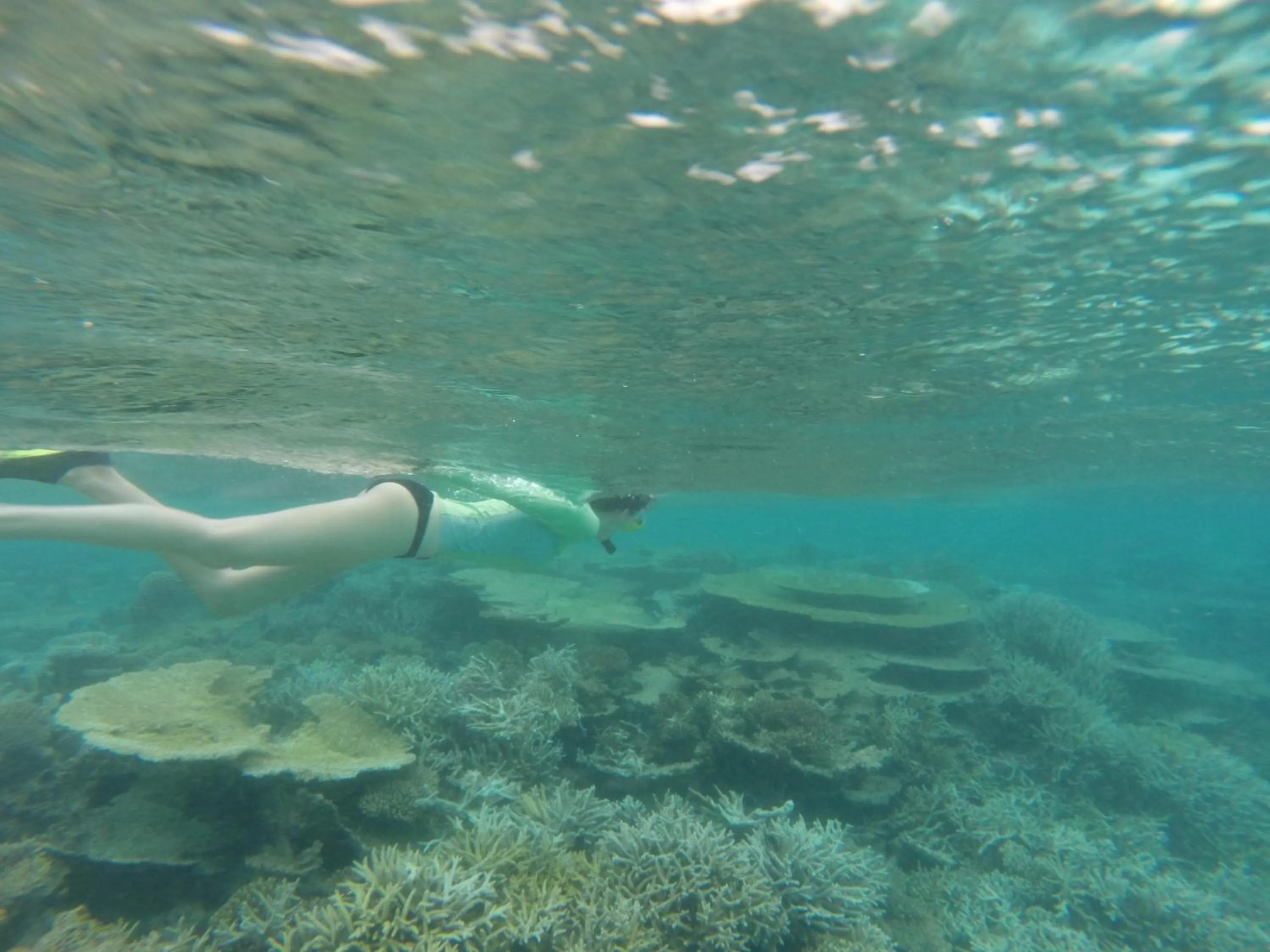 Natural landscape in Holiday Haven Ukulhas