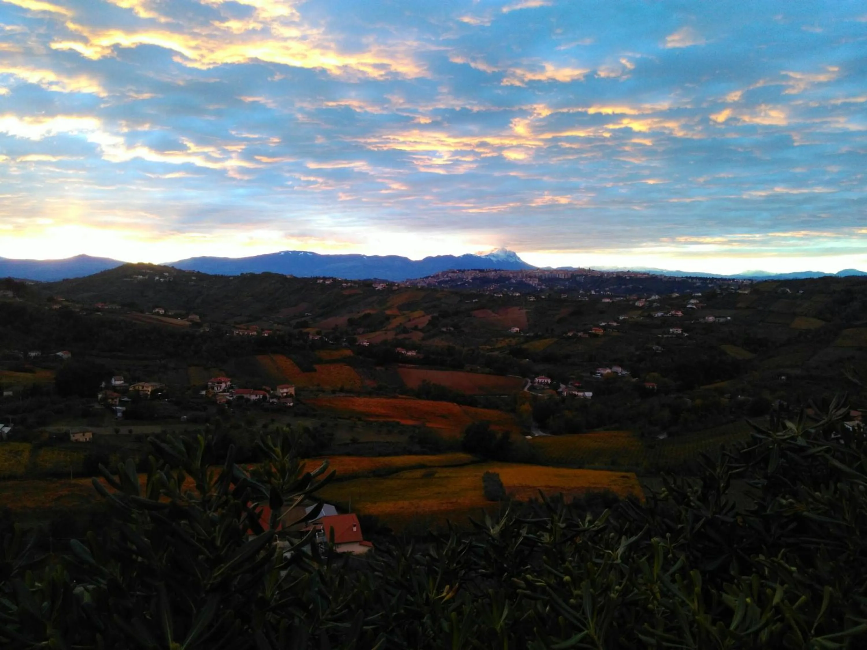 Natural landscape in B&B Villa Ciccone