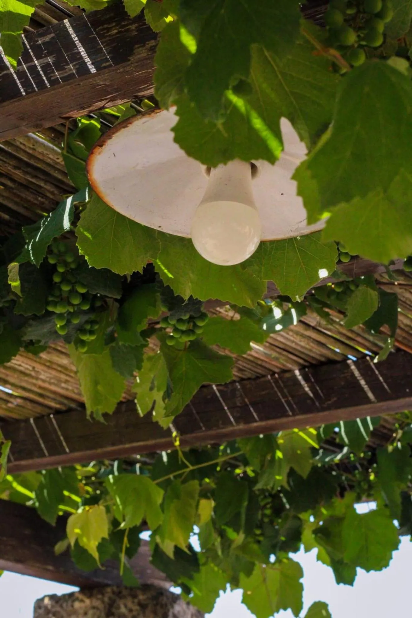 Balcony/Terrace in B&B Pergulea