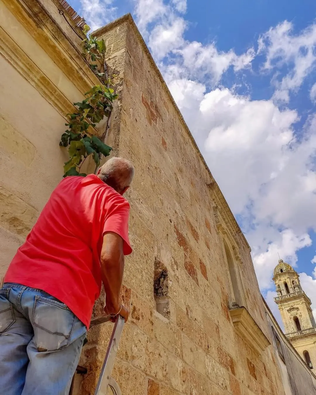 Property building in B&B Pergulea