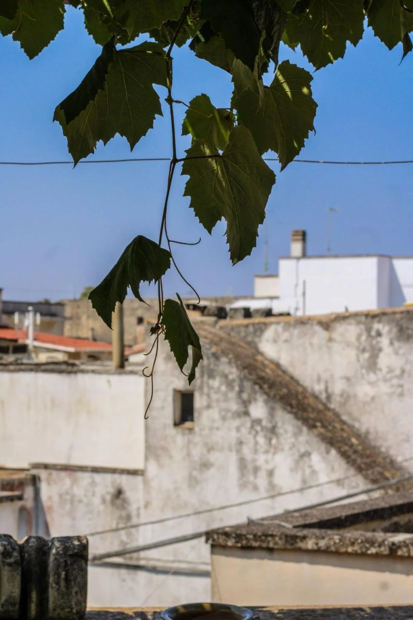 Balcony/Terrace in B&B Pergulea