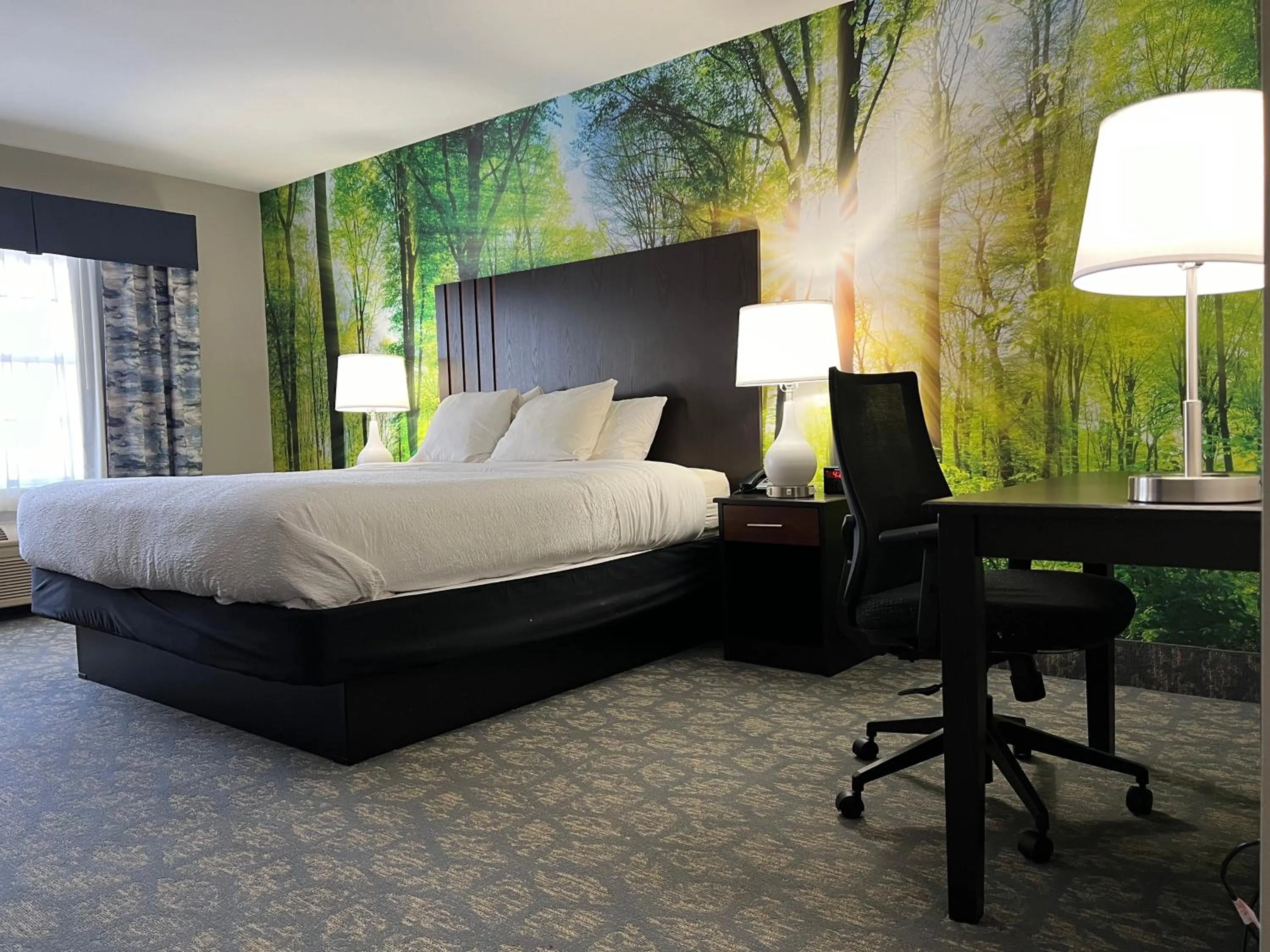 Photo of the whole room, Bed in Casco Bay Inn