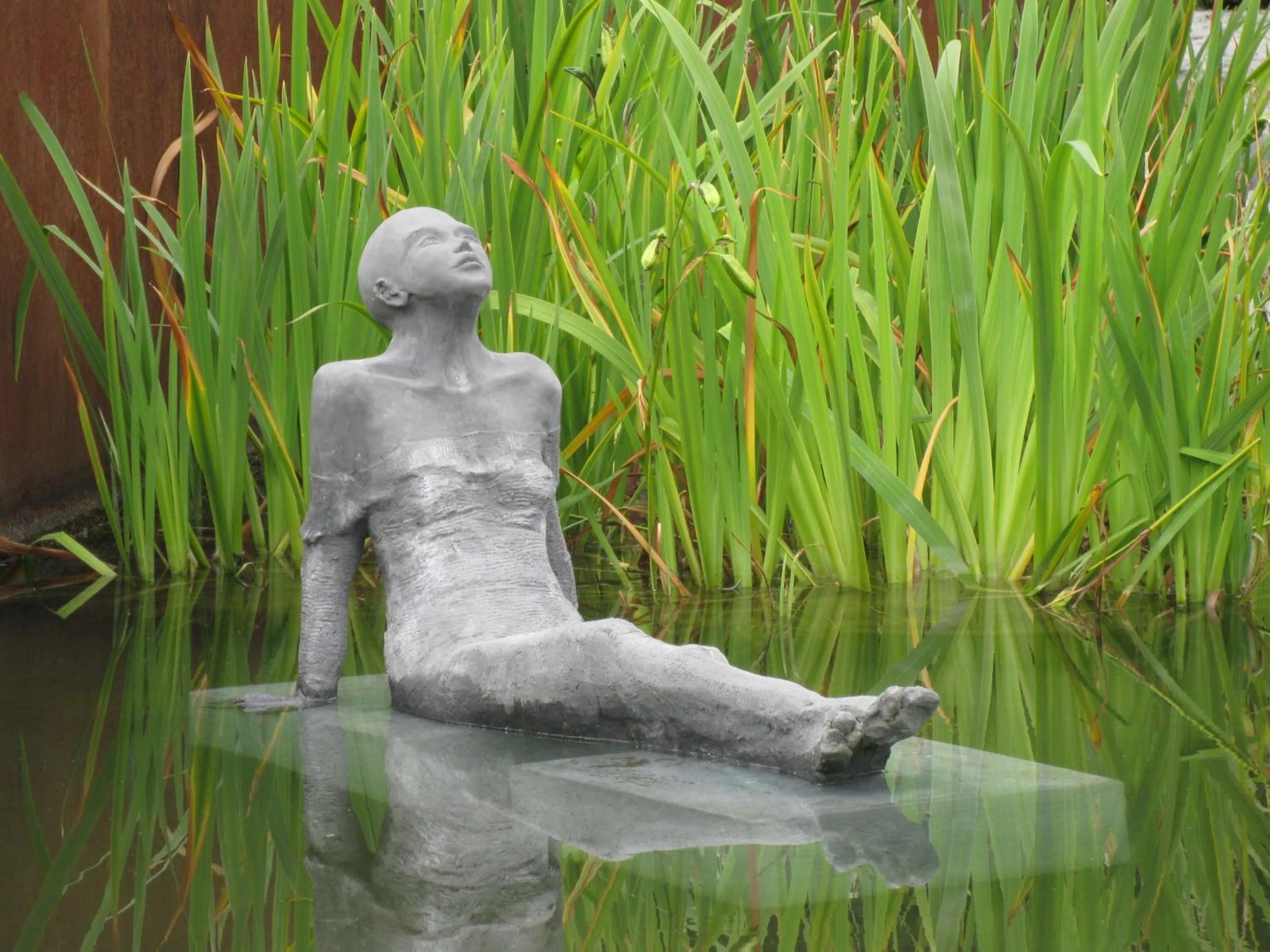 Garden in Hotel Montanus