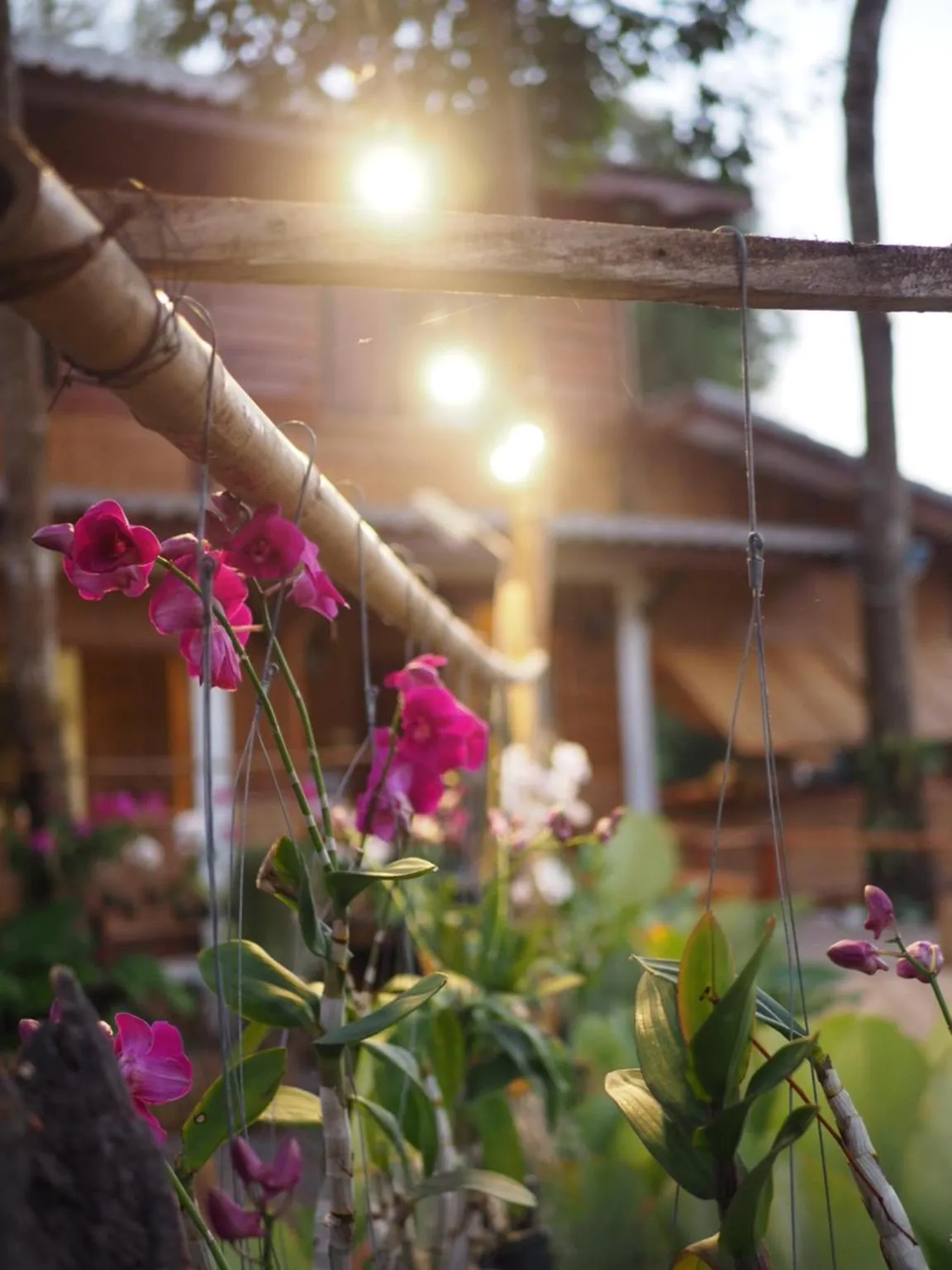 Property building in Phoxay Ngam Resort